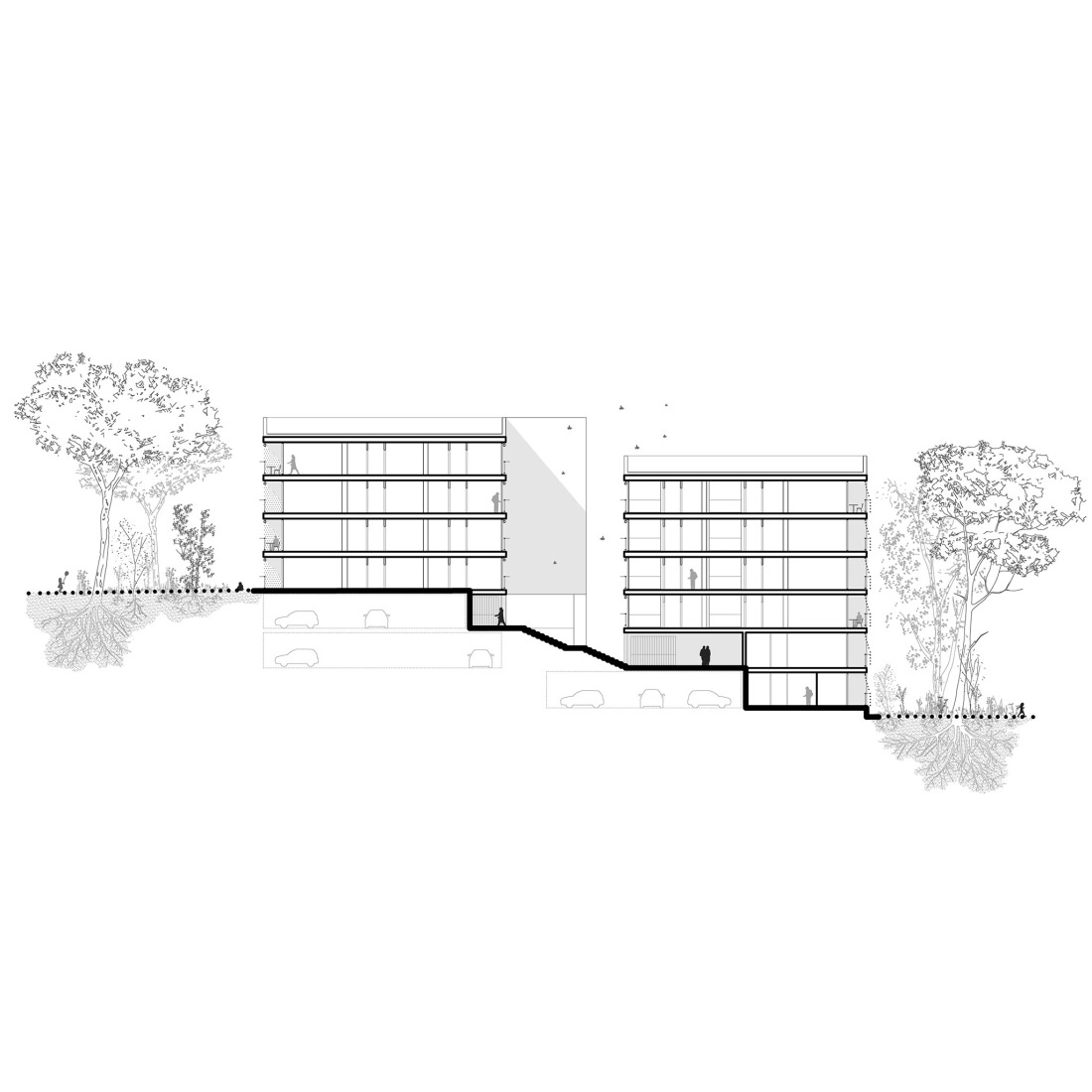 Sustainability and spatial quality. 72 Social Housing in Castelldefels by Carles Enrich Studio. Longitudinal section.