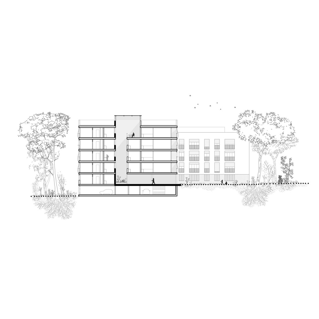 Sustainability and spatial quality. 72 Social Housing in Castelldefels by Carles Enrich Studio. Cross section.