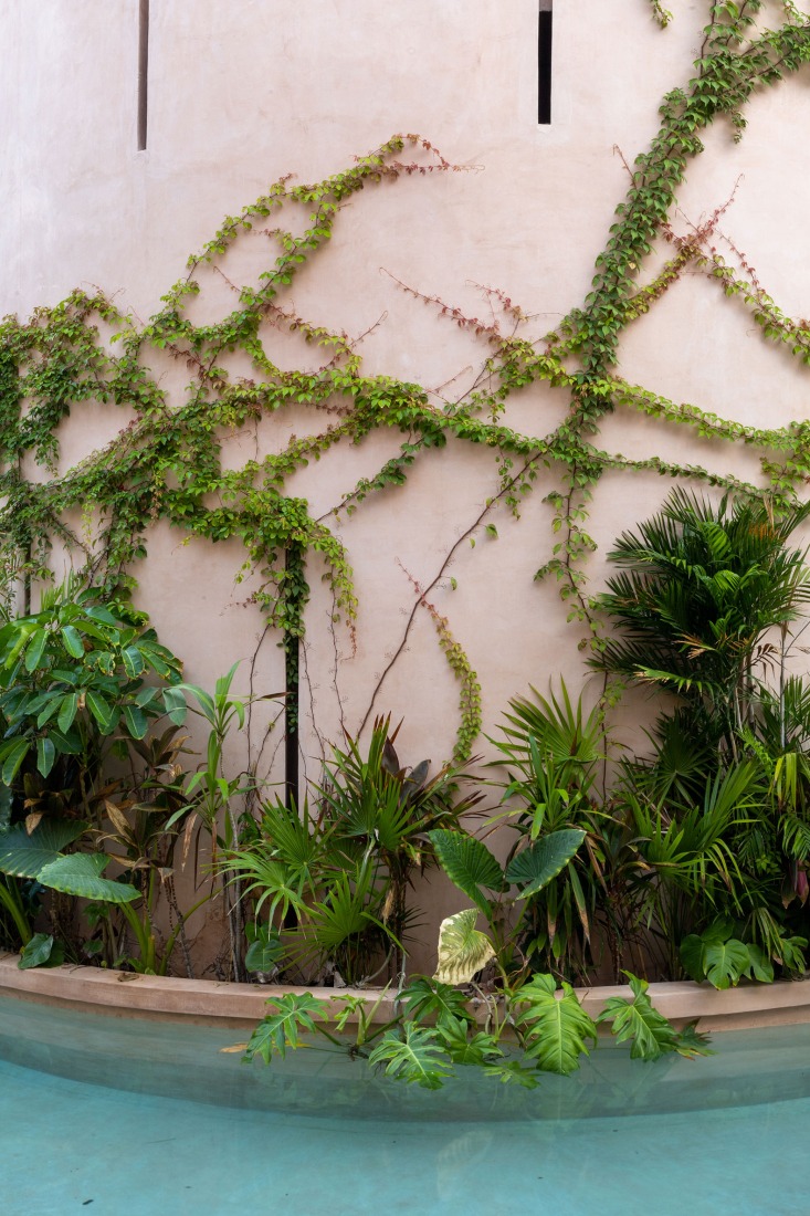 Un complejo regenerativo. Babel por V Taller. Fotografía por Daniel Villanueva.