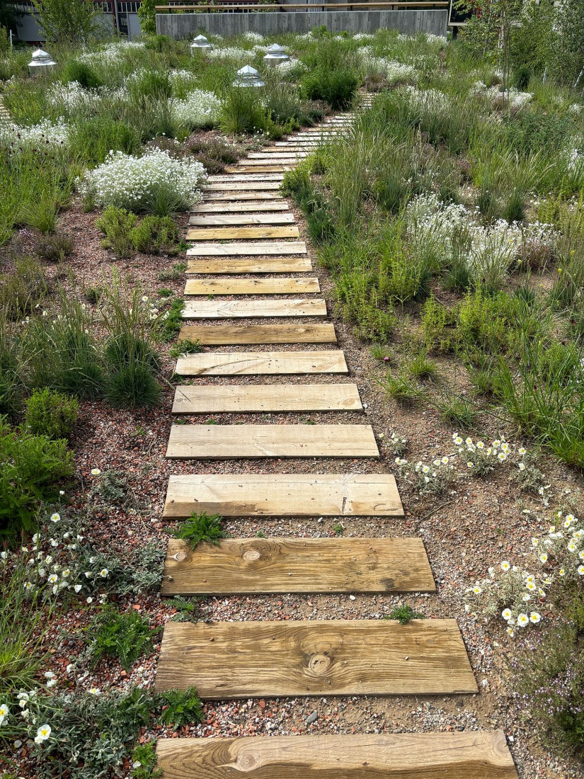 Parc de l’Ossa por Altura arquitectes. Fotografía por Rafael Vargas.
