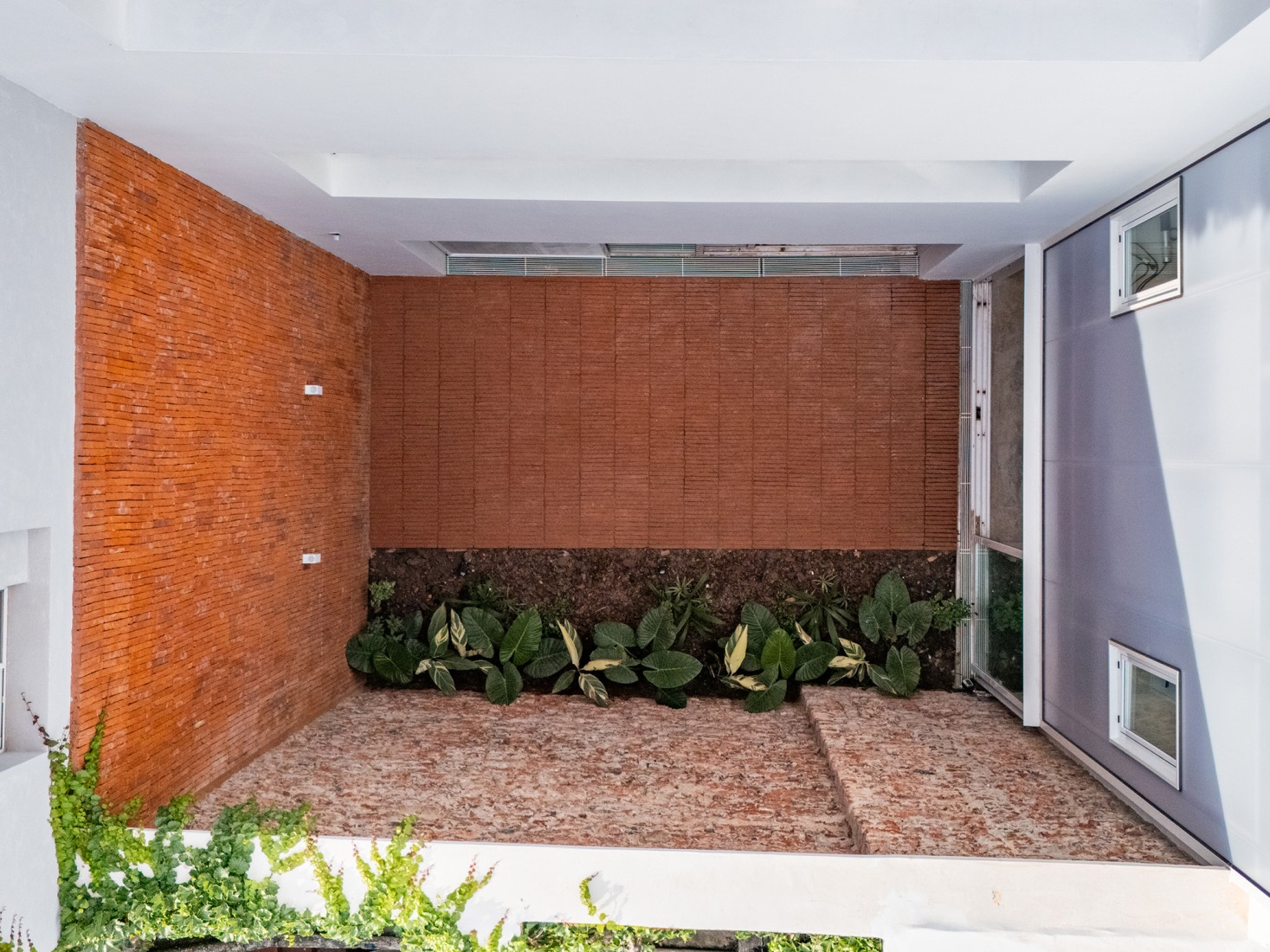 A1486, single-family home in Chacarita by Arqtipo. Photograph by Israel Caire.