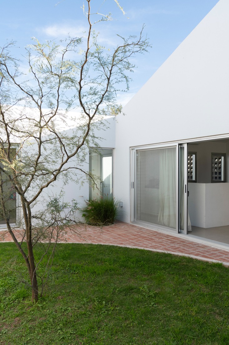 House for a tree by Esteras Perrote. Photograph by Juan Cruz Paredes.