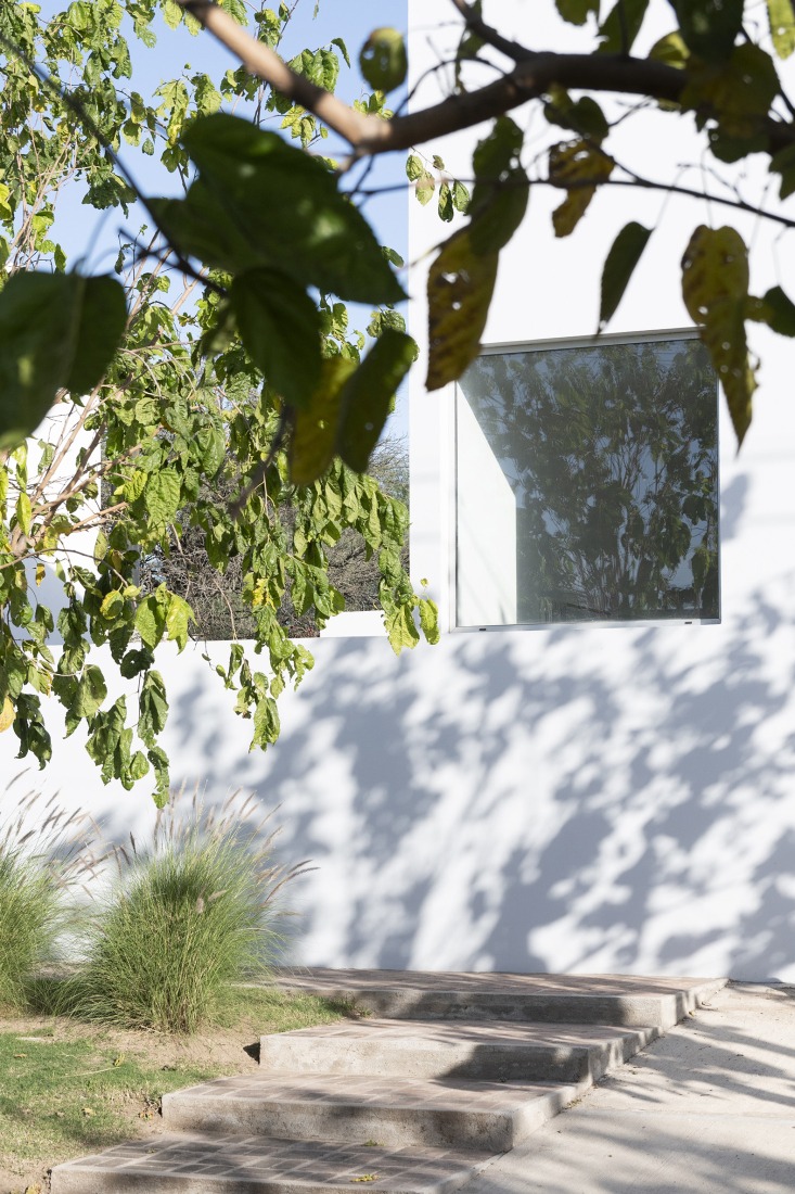 House for a tree by Esteras Perrote. Photograph by Juan Cruz Paredes.