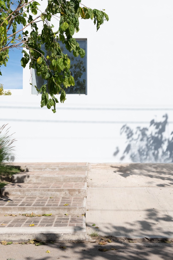 House for a tree by Esteras Perrote. Photograph by Juan Cruz Paredes.