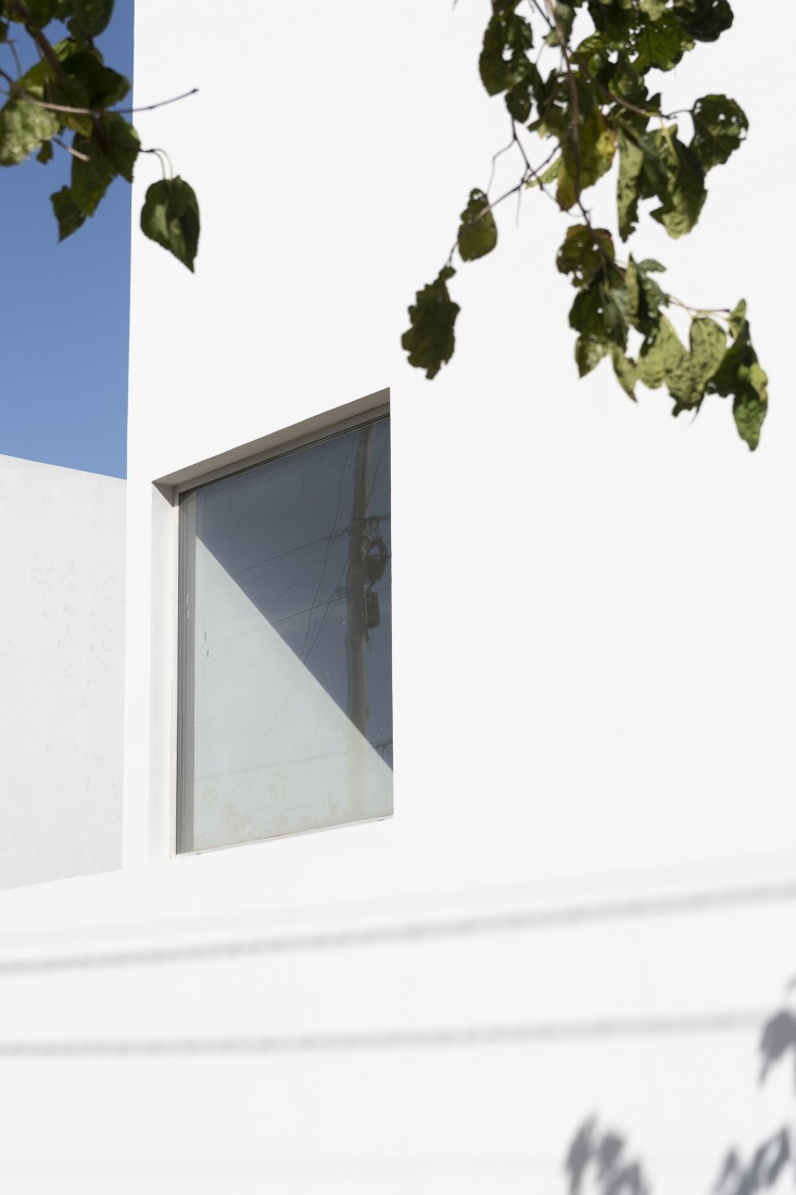 House for a tree by Esteras Perrote. Photograph by Juan Cruz Paredes.
