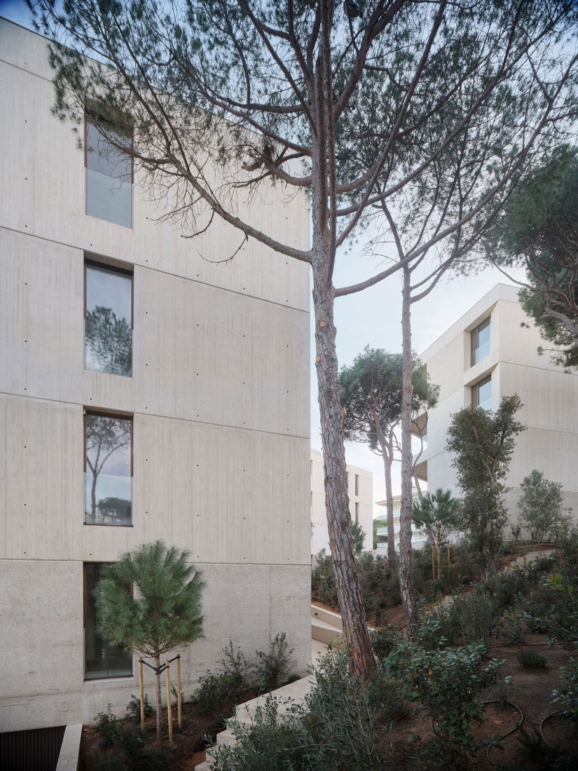 «SA Caleta» por FGA Arquitectes, Jaime Prous Architects y Pineda Monedero. Fotografía por Adrià Goula.  