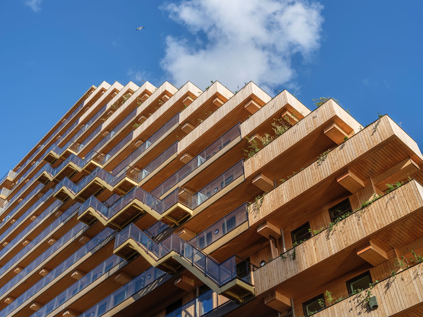 SAWA por Mei architects and planners. Fotografía por Ossip van Duivenbode.