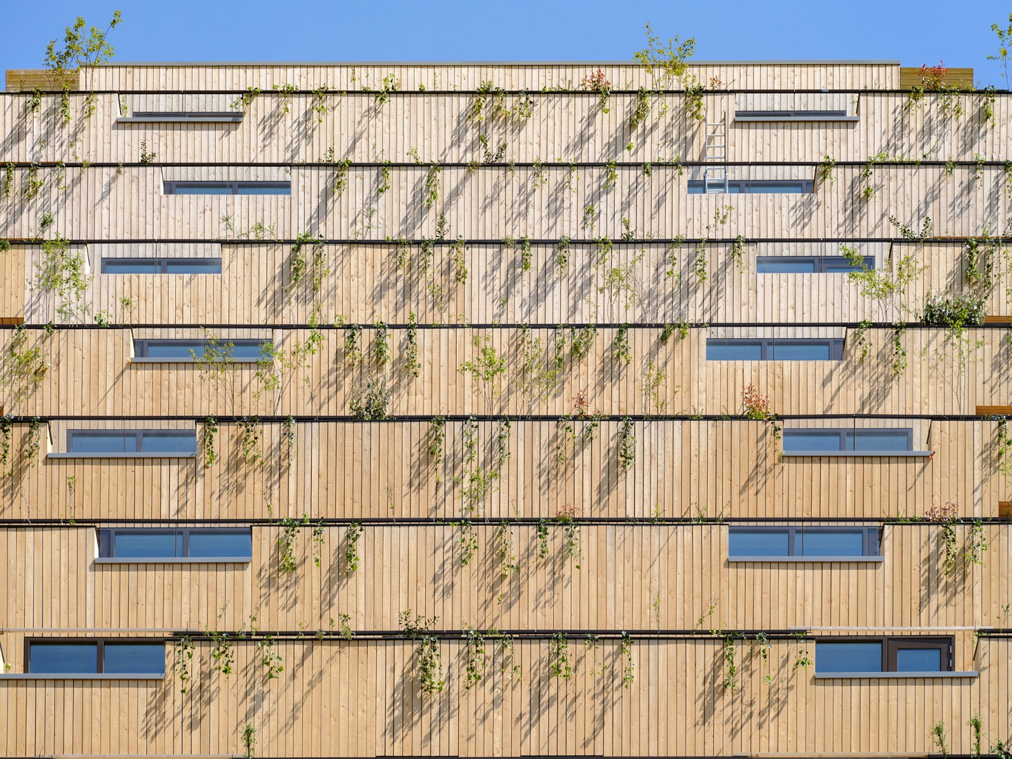 SAWA por Mei architects and planners. Fotografía por Ossip van Duivenbode.