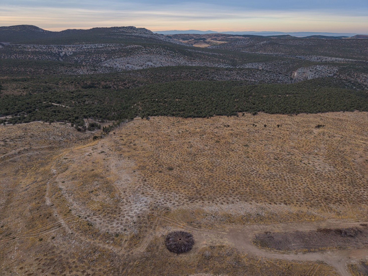 Socarrado por Nomad Studio. Fotografía por Michael Heinrich.