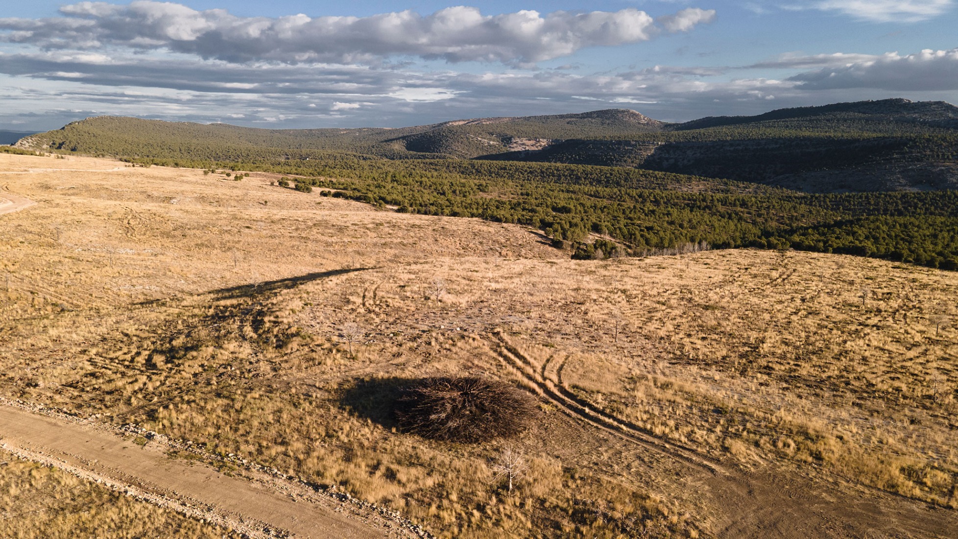 Socarrado por Nomad Studio. Fotografía por Nomad Studio. 