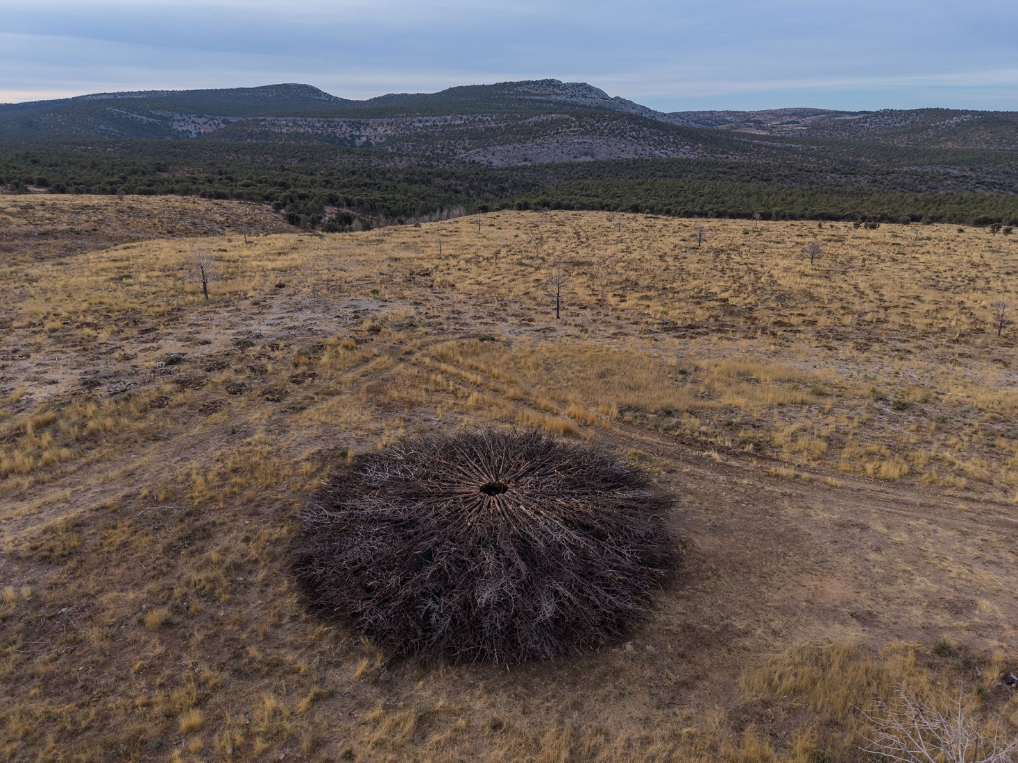 Socarrado por Nomad Studio. Fotografía por Michael Heinrich.
