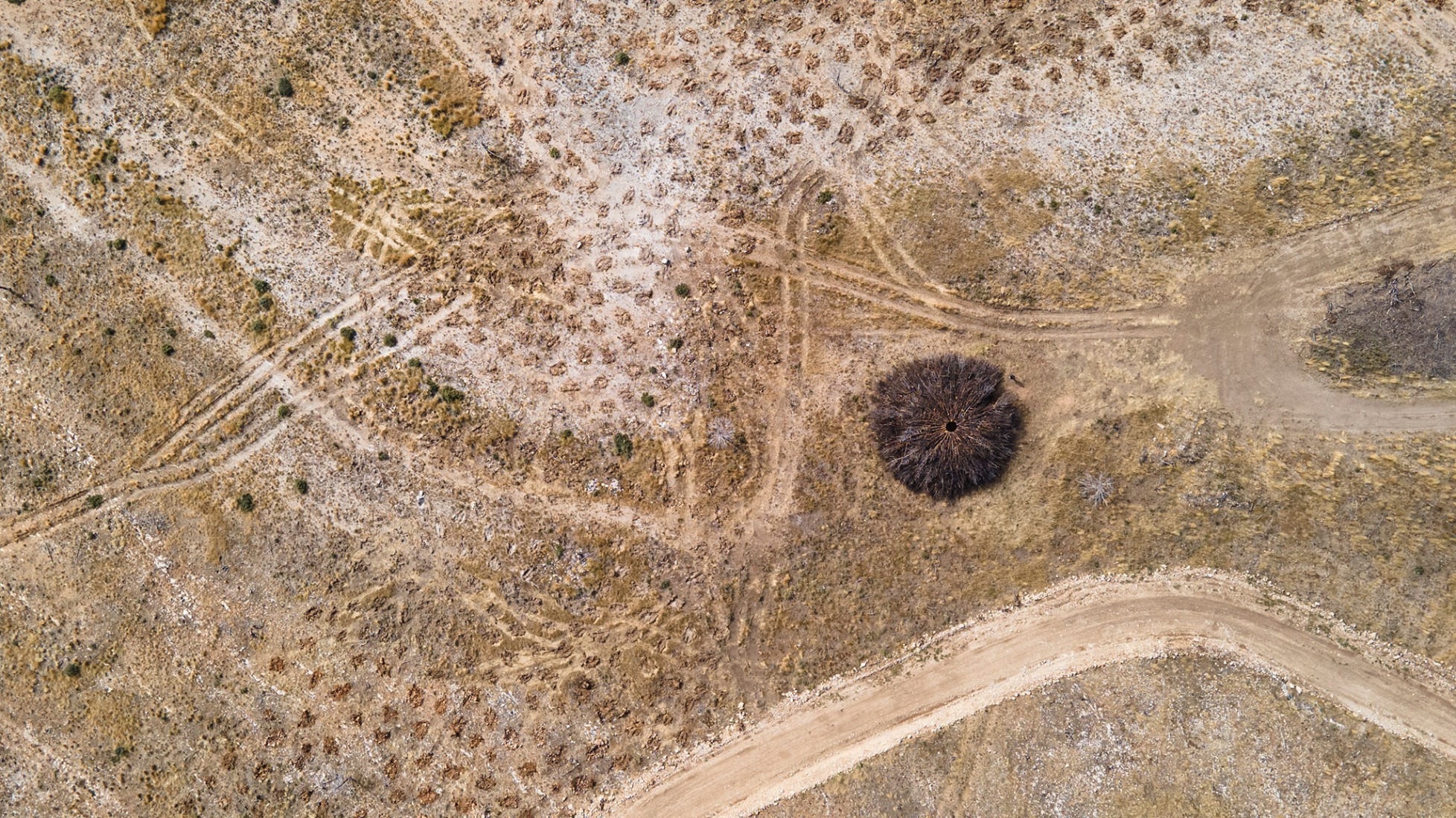 Socarrado por Nomad Studio. Fotografía por Nomad Studio. 