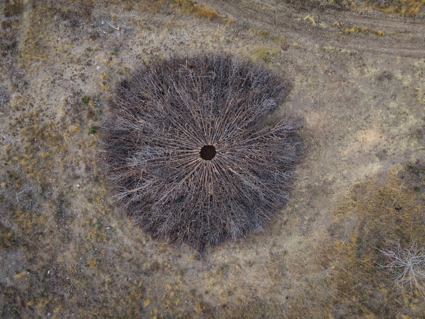 Socarrado por Nomad Studio. Fotografía por Michael Heinrich.