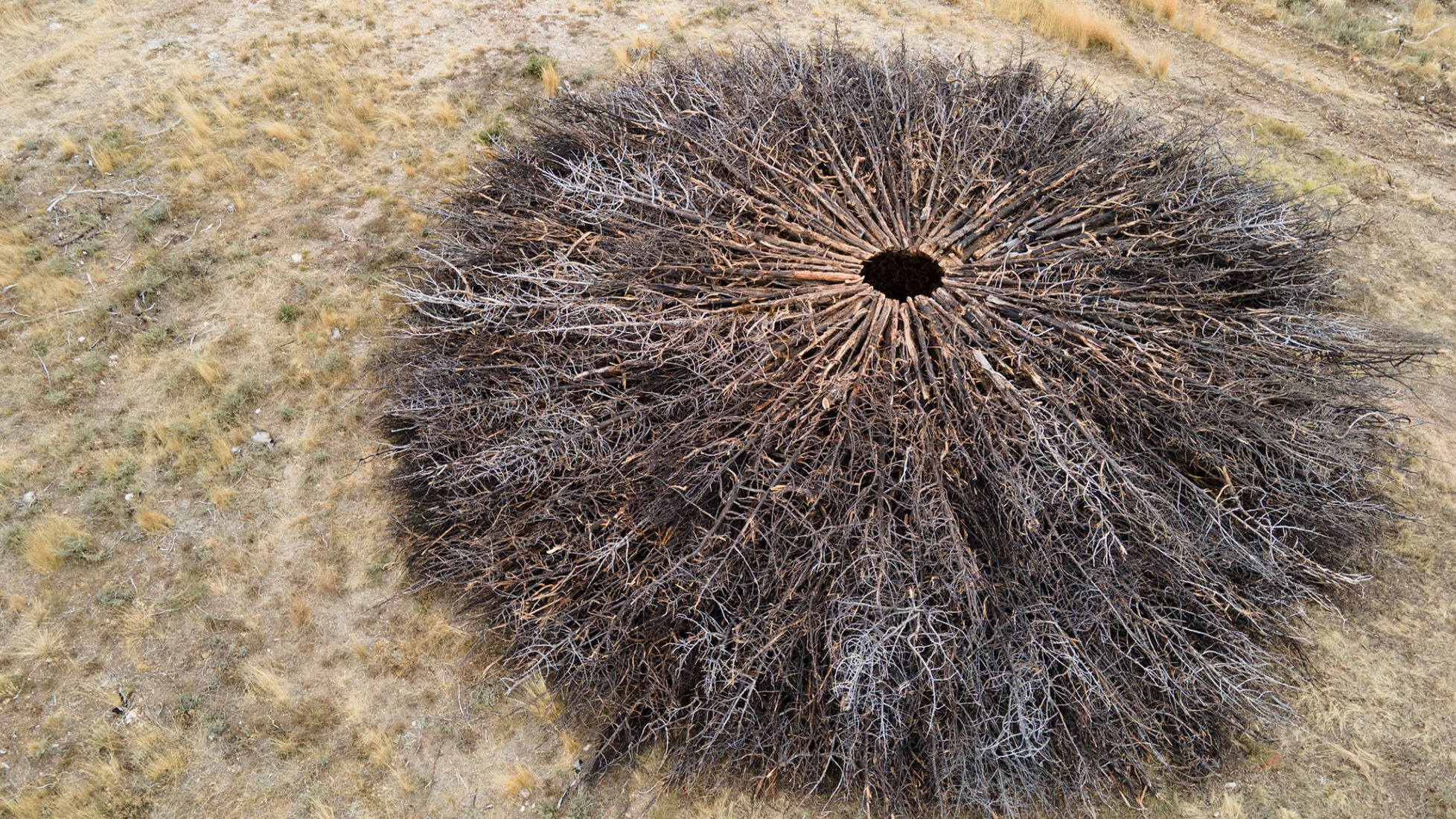 Socarrado por Nomad Studio. Fotografía por Nomad Studio. 