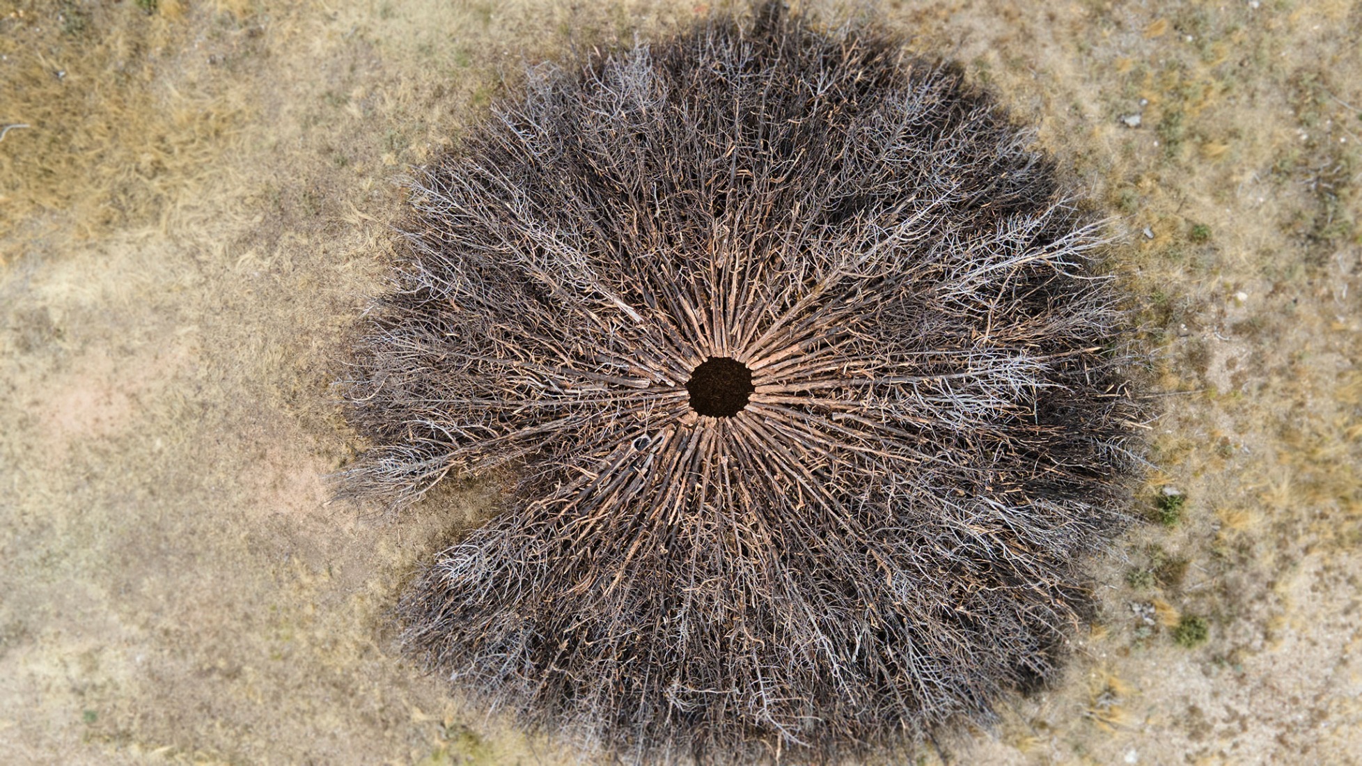 Socarrado por Nomad Studio. Fotografía por Nomad Studio. 