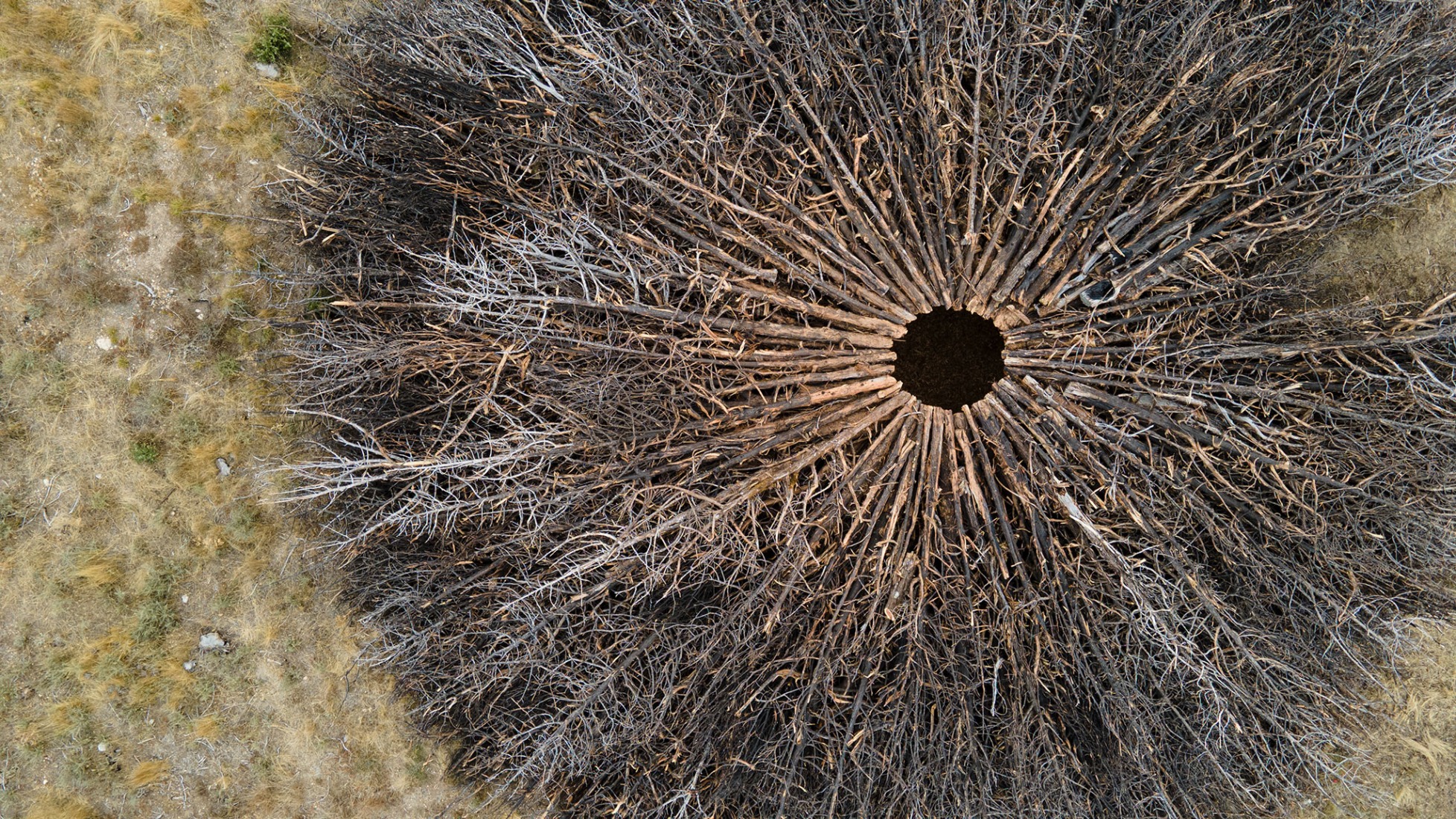 Socarrado por Nomad Studio. Fotografía por Nomad Studio. 