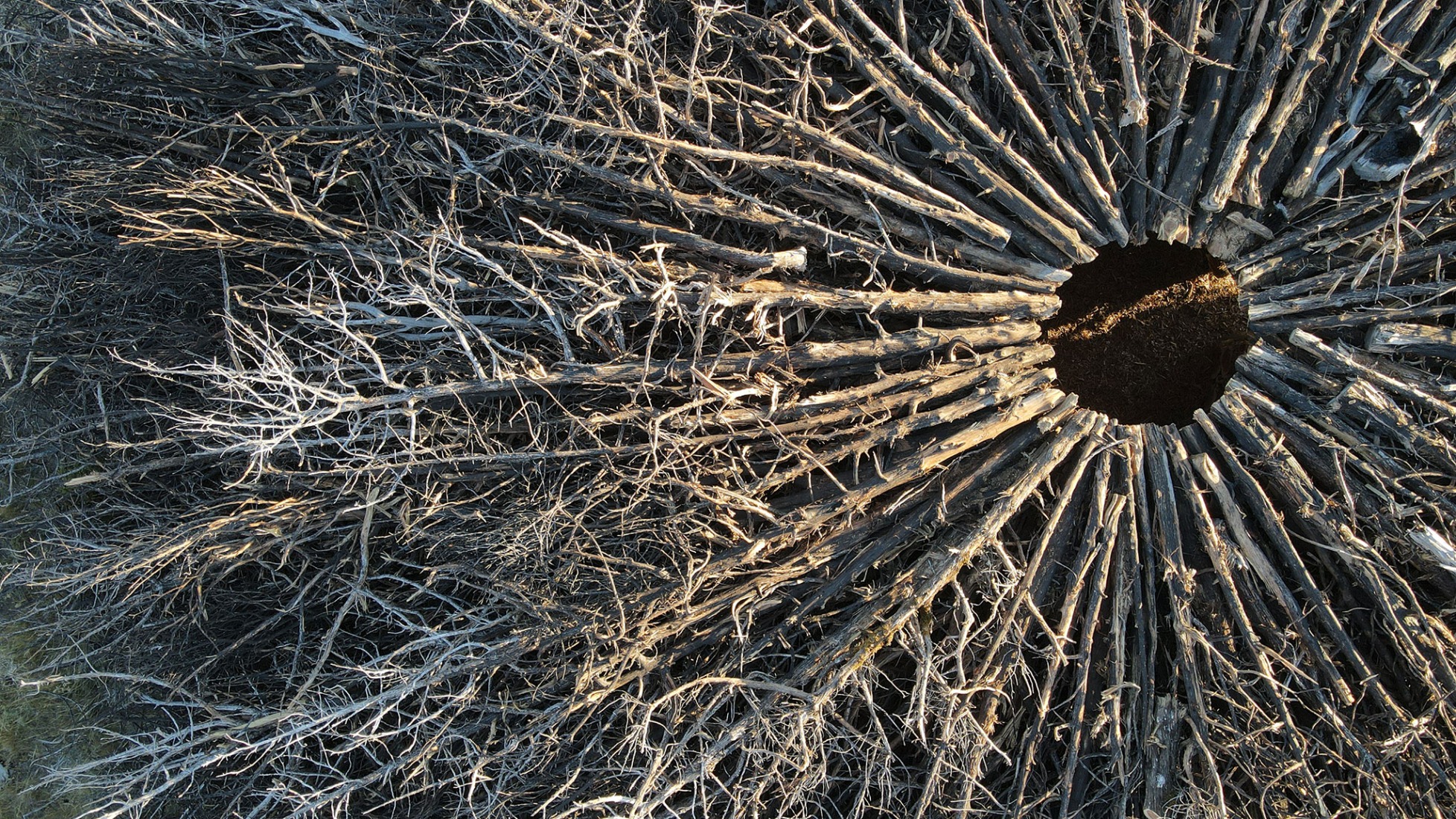 Socarrado por Nomad Studio. Fotografía por Nomad Studio. 