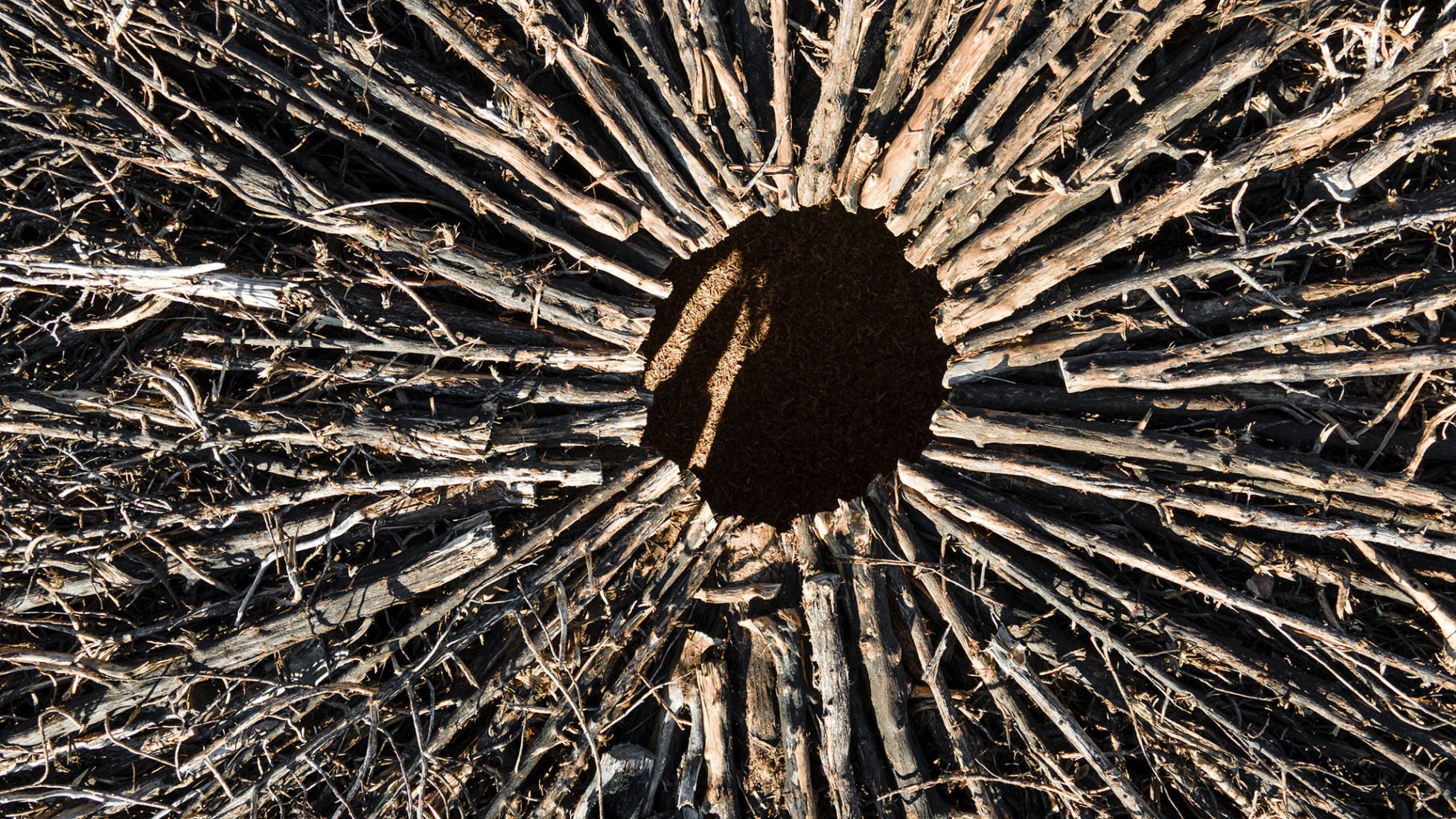 Socarrado por Nomad Studio. Fotografía por Nomad Studio. 