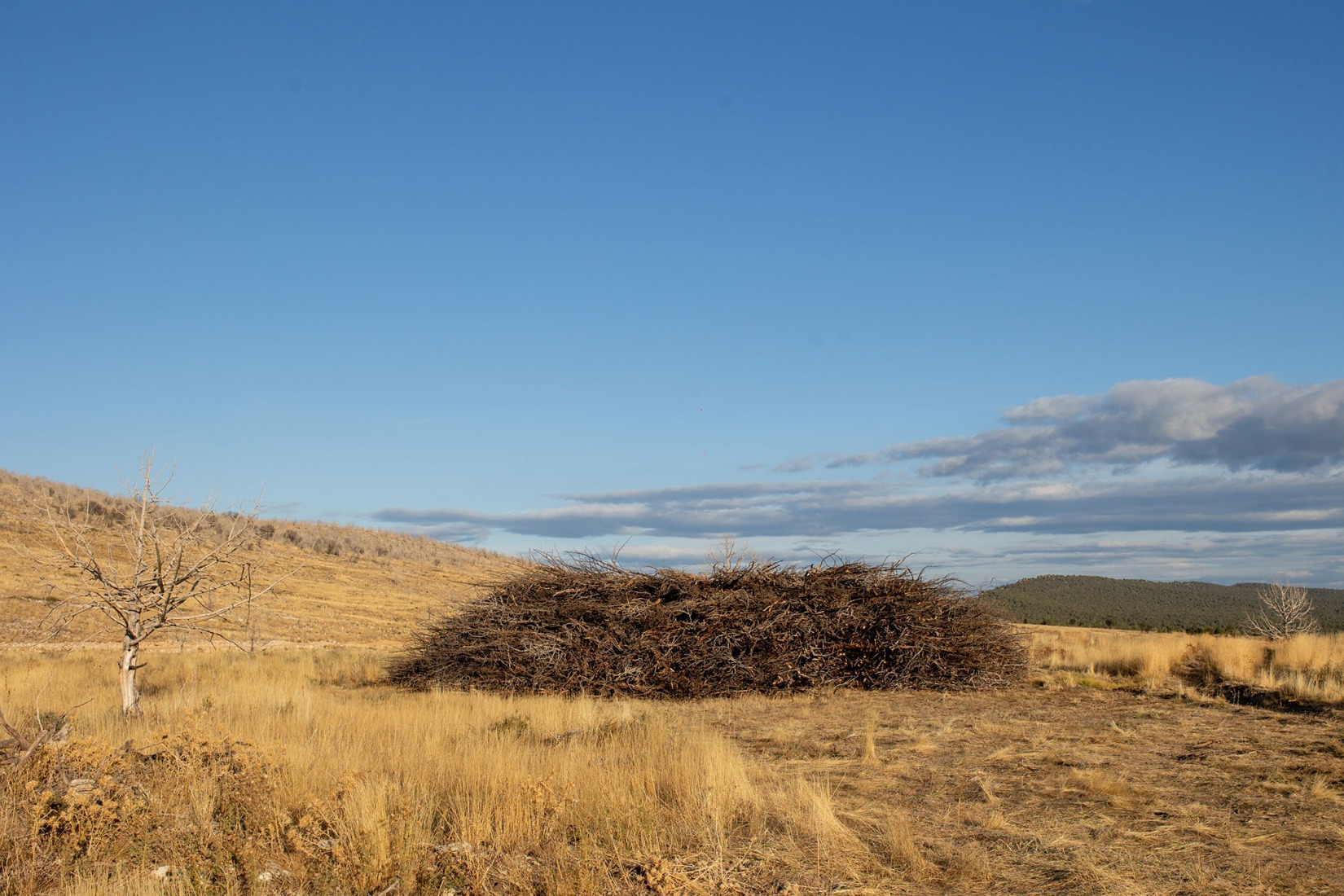 Socarrado por Nomad Studio. Fotografía por Almudena Cadalso.