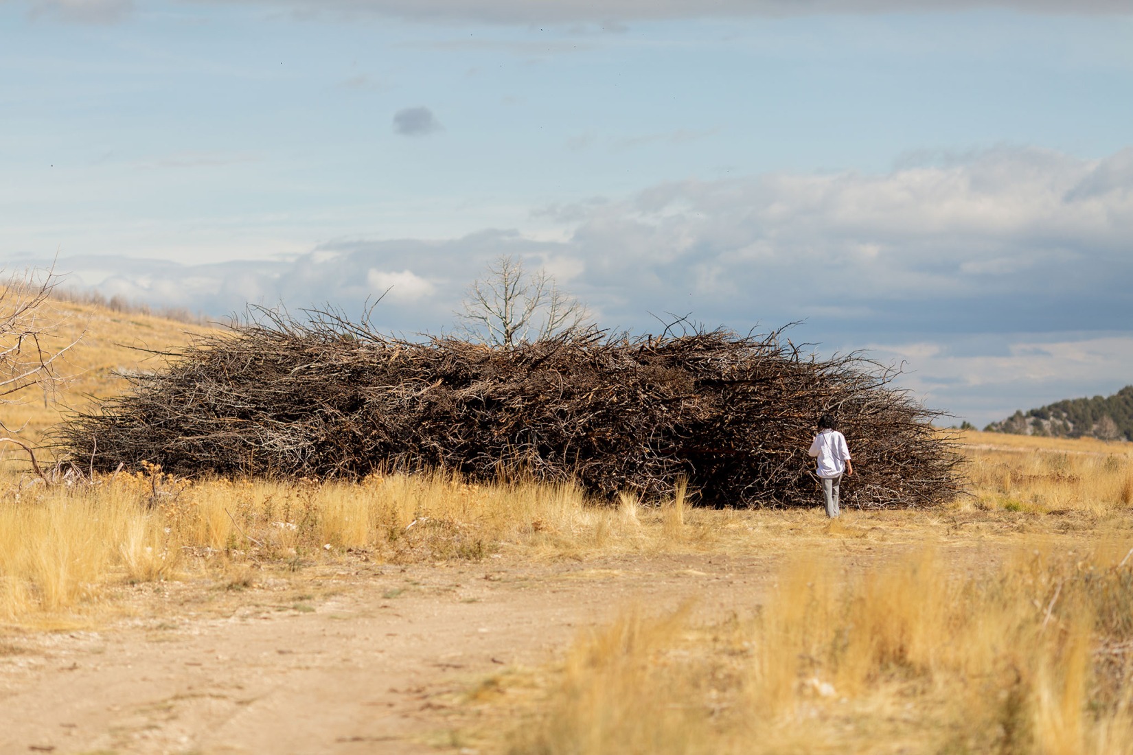 Socarrado por Nomad Studio. Fotografía por Almudena Cadalso.