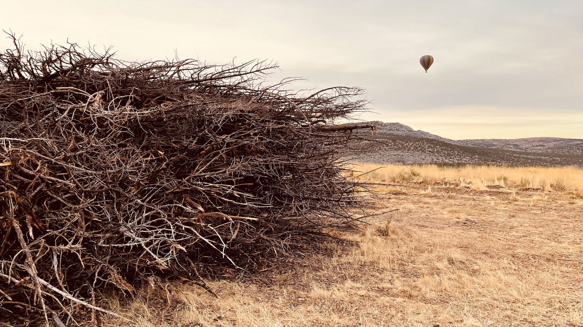 Socarrado por Nomad Studio. Fotografía por Nomad Studio. 