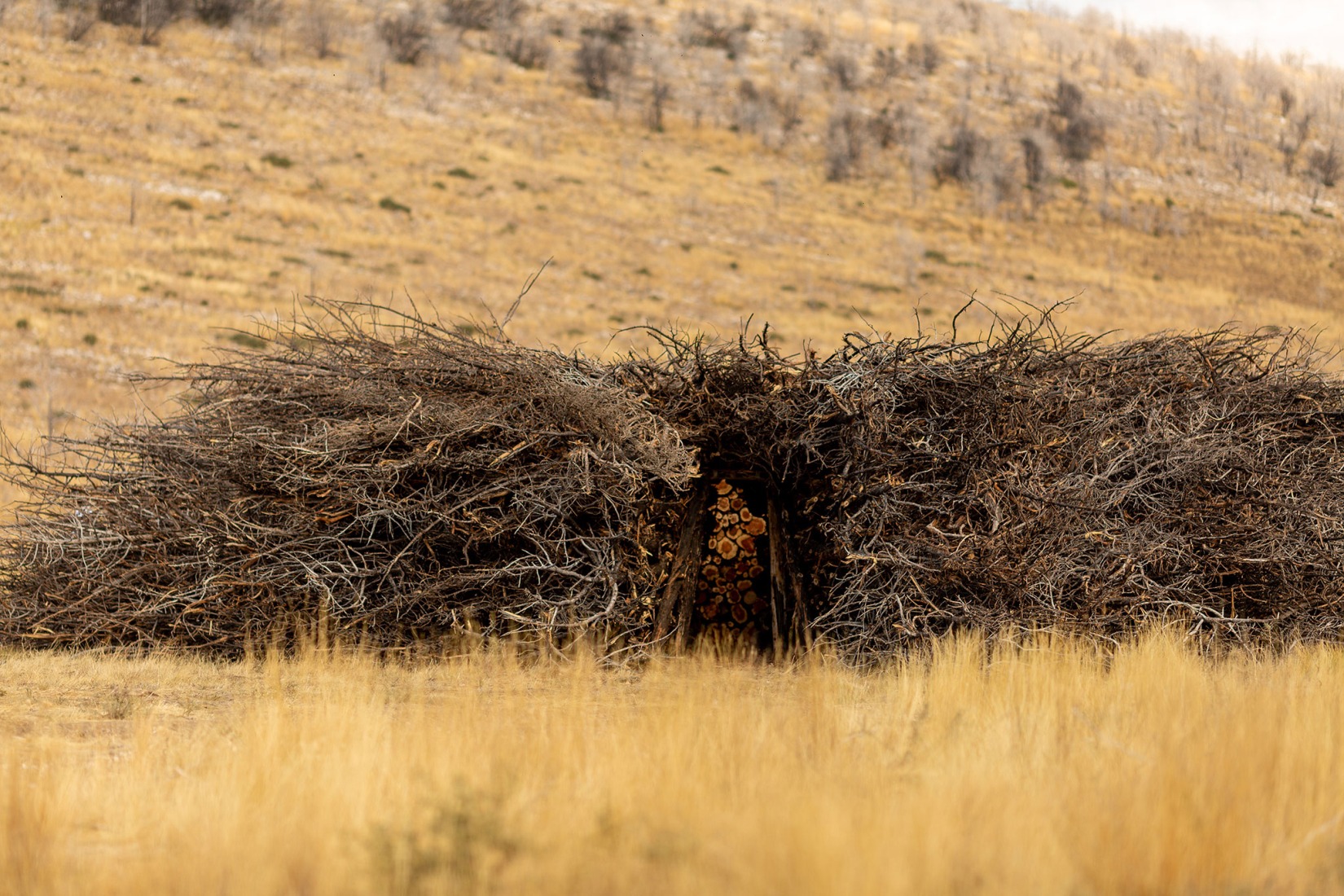 Socarrado por Nomad Studio. Fotografía por Almudena Cadalso.