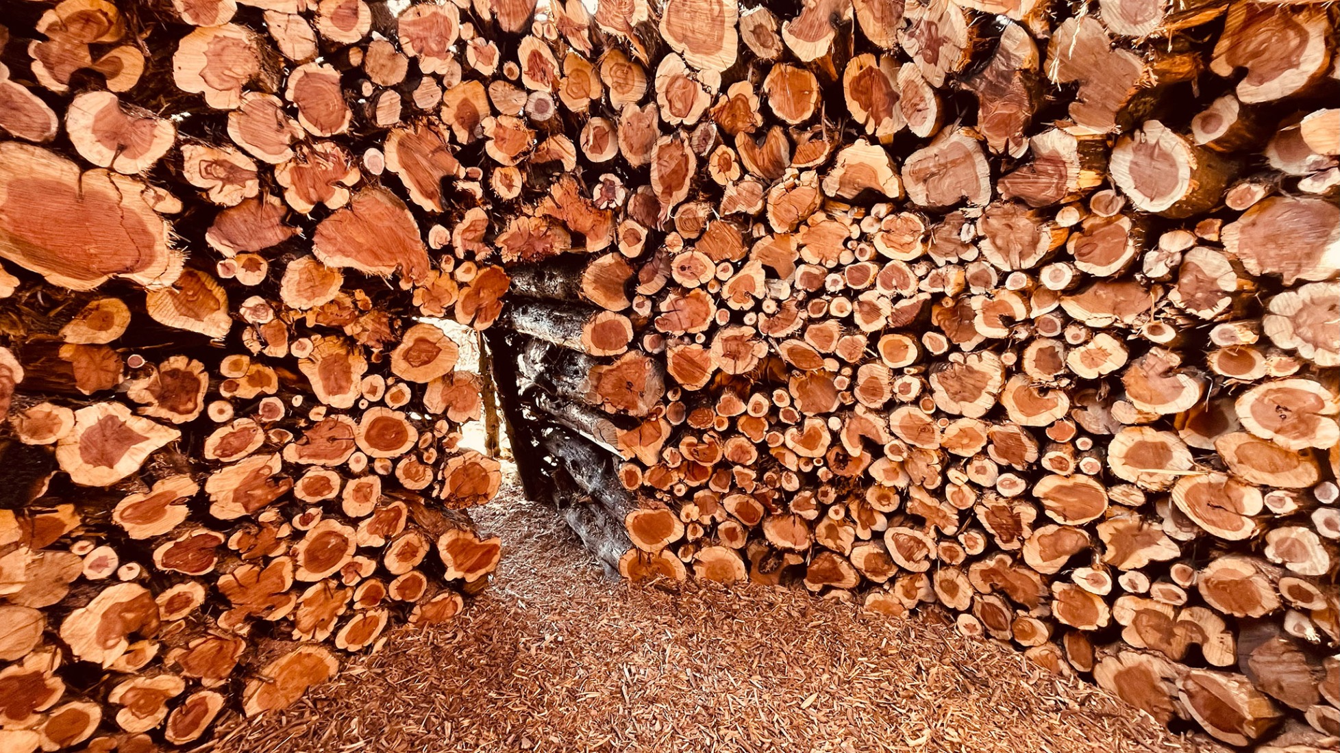 Socarrado por Nomad Studio. Fotografía por Nomad Studio. 