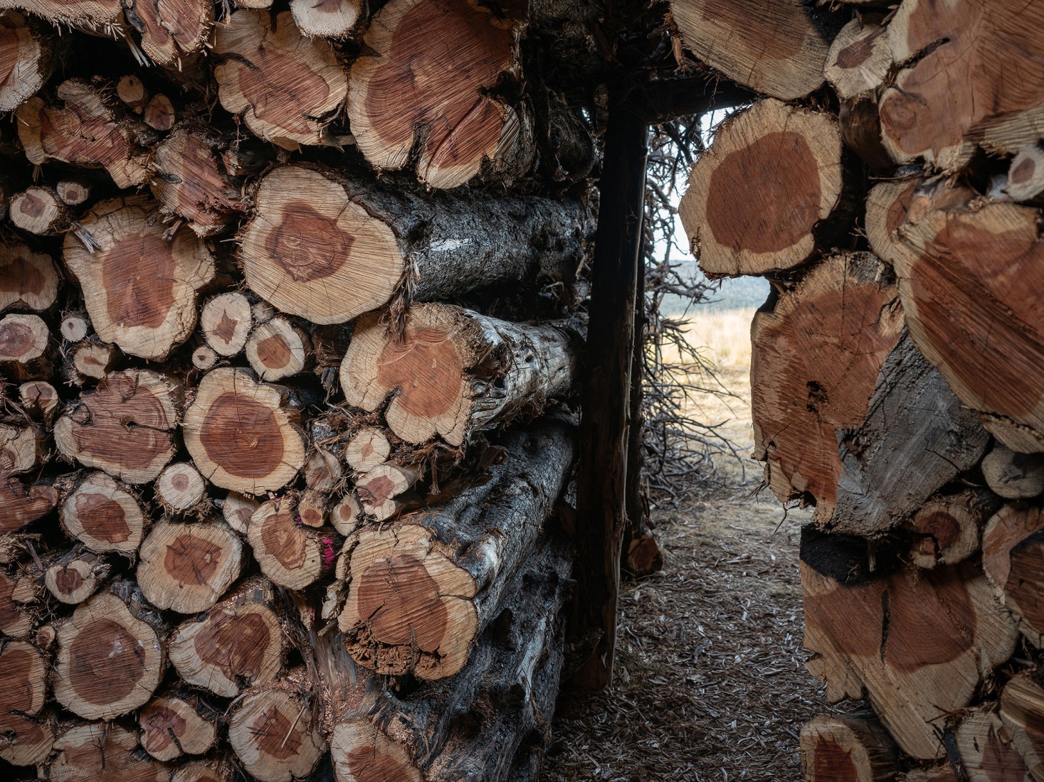 Socarrado por Nomad Studio. Fotografía por Nomad Studio. 