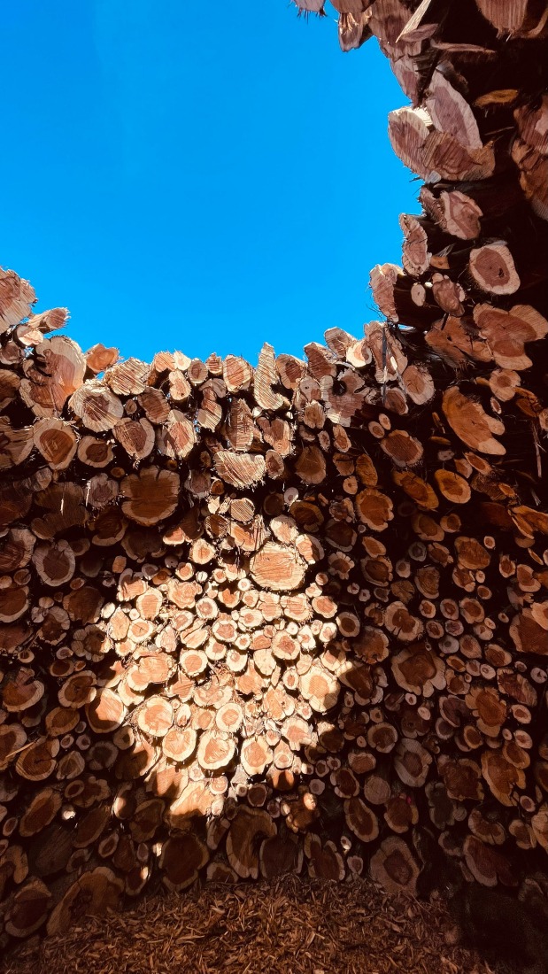 Socarrado por Nomad Studio. Fotografía por Nomad Studio. 