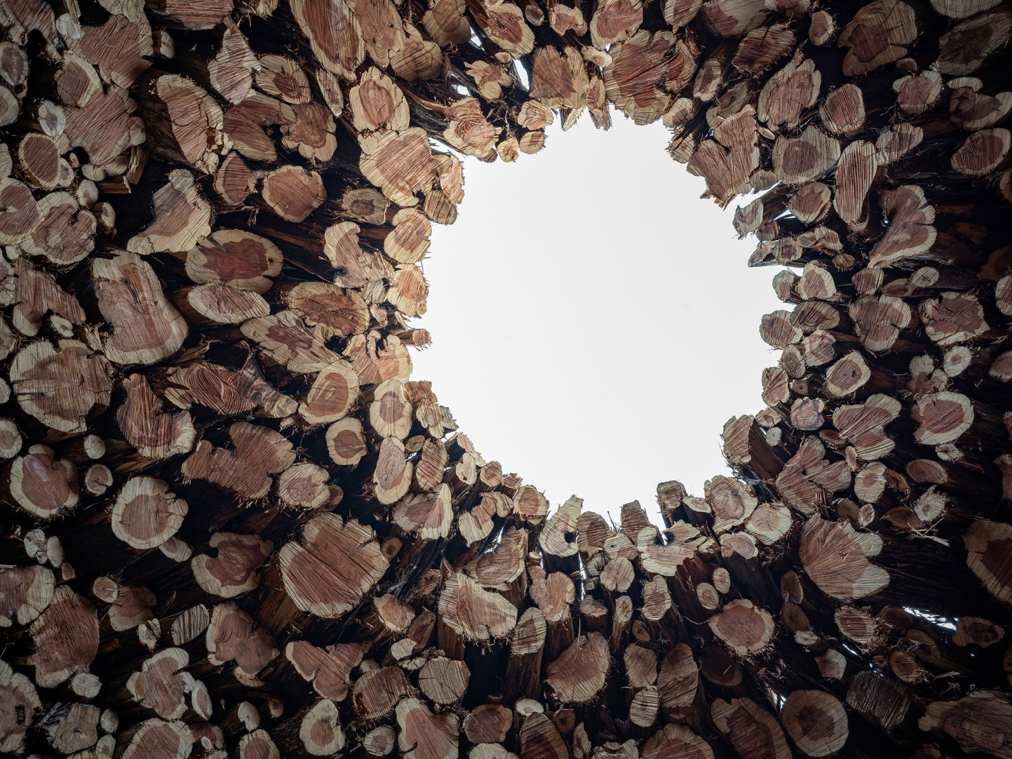 Socarrado por Nomad Studio. Fotografía por Michael Heinrich.