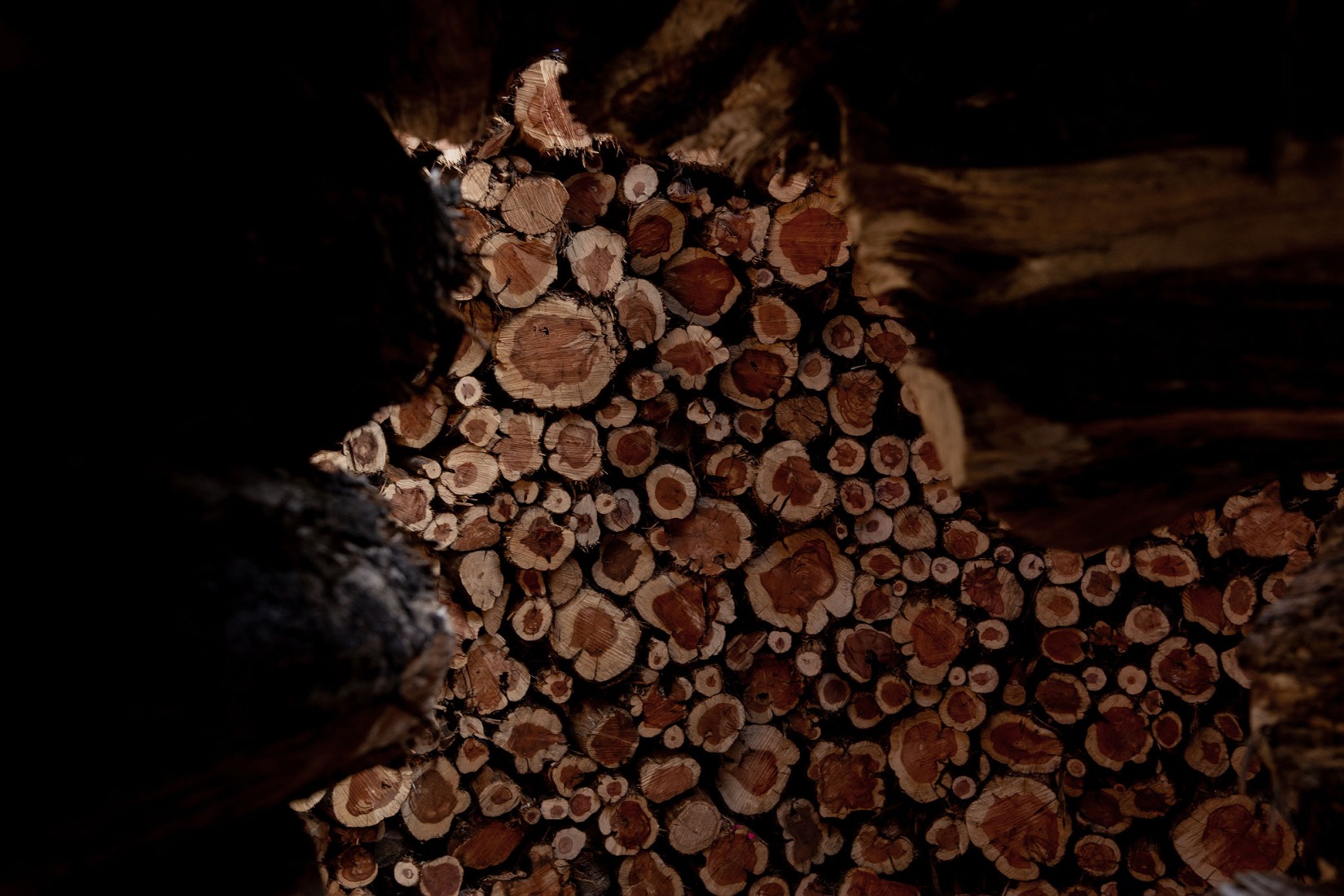 Socarrado por Nomad Studio. Fotografía por Almudena Cadalso.