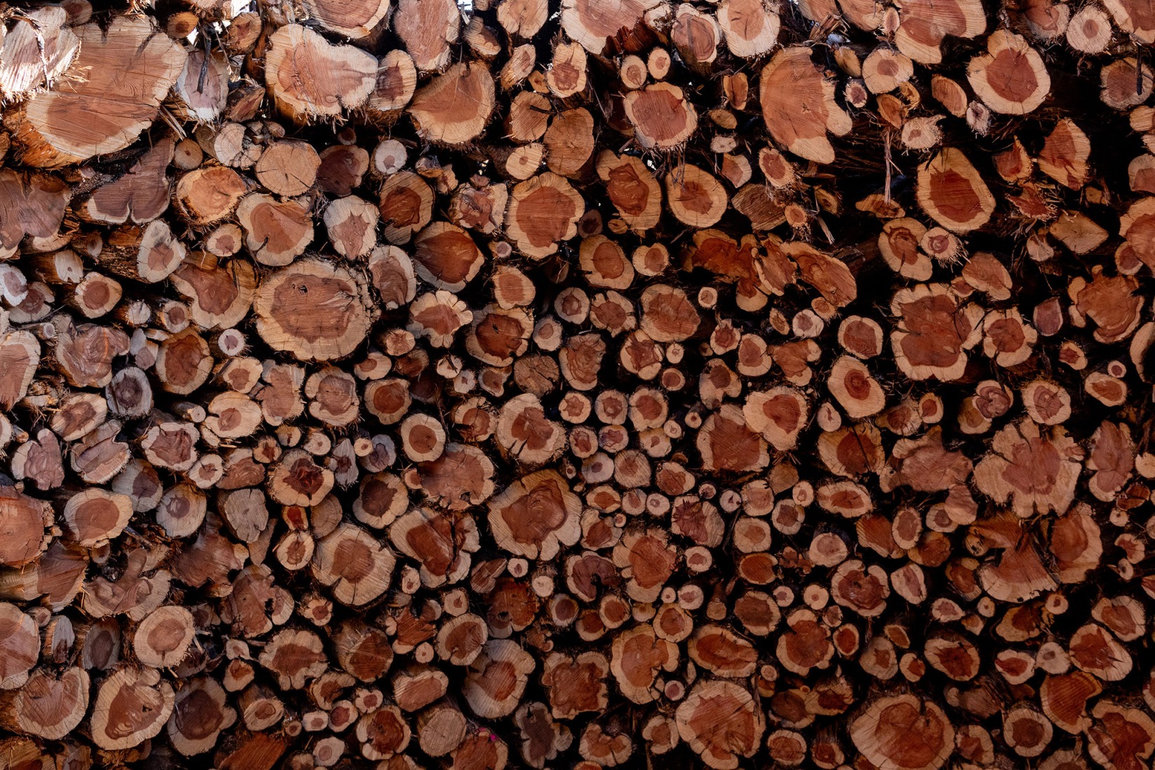 Socarrado por Nomad Studio. Fotografía por Almudena Cadalso.