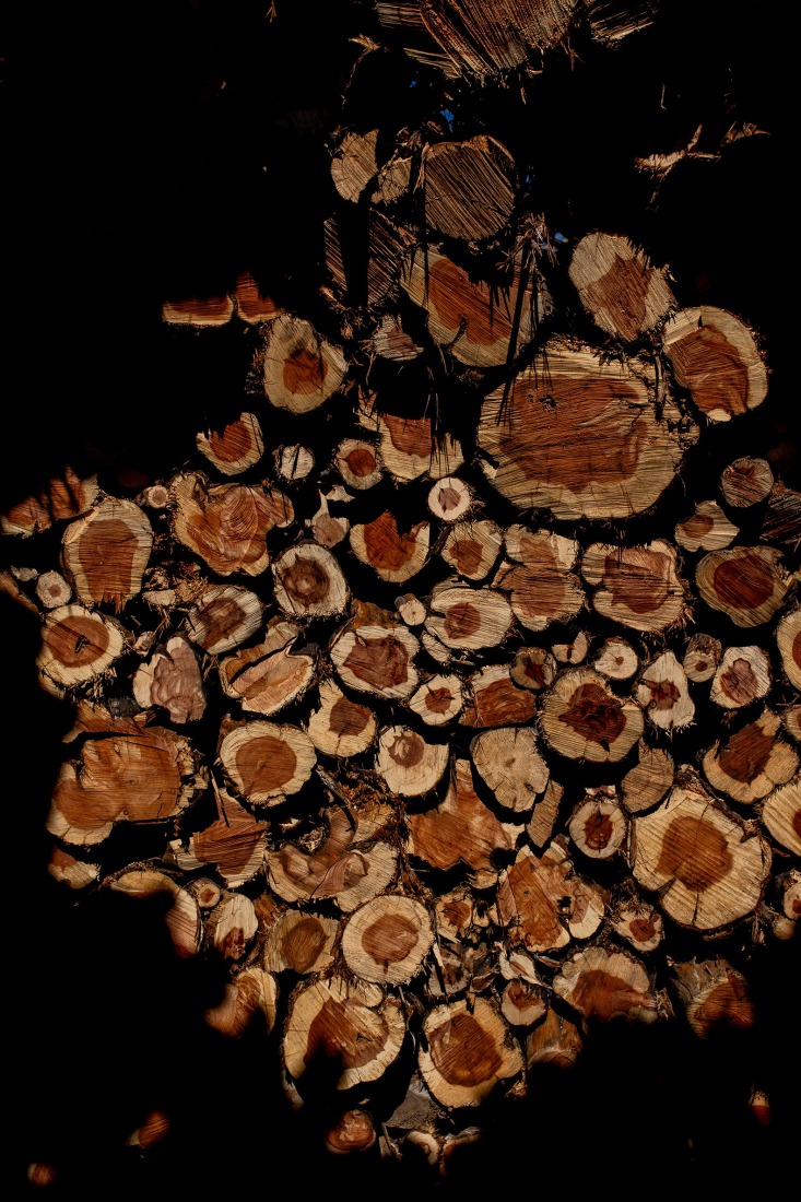 Socarrado por Nomad Studio. Fotografía por Nomad Studio. 