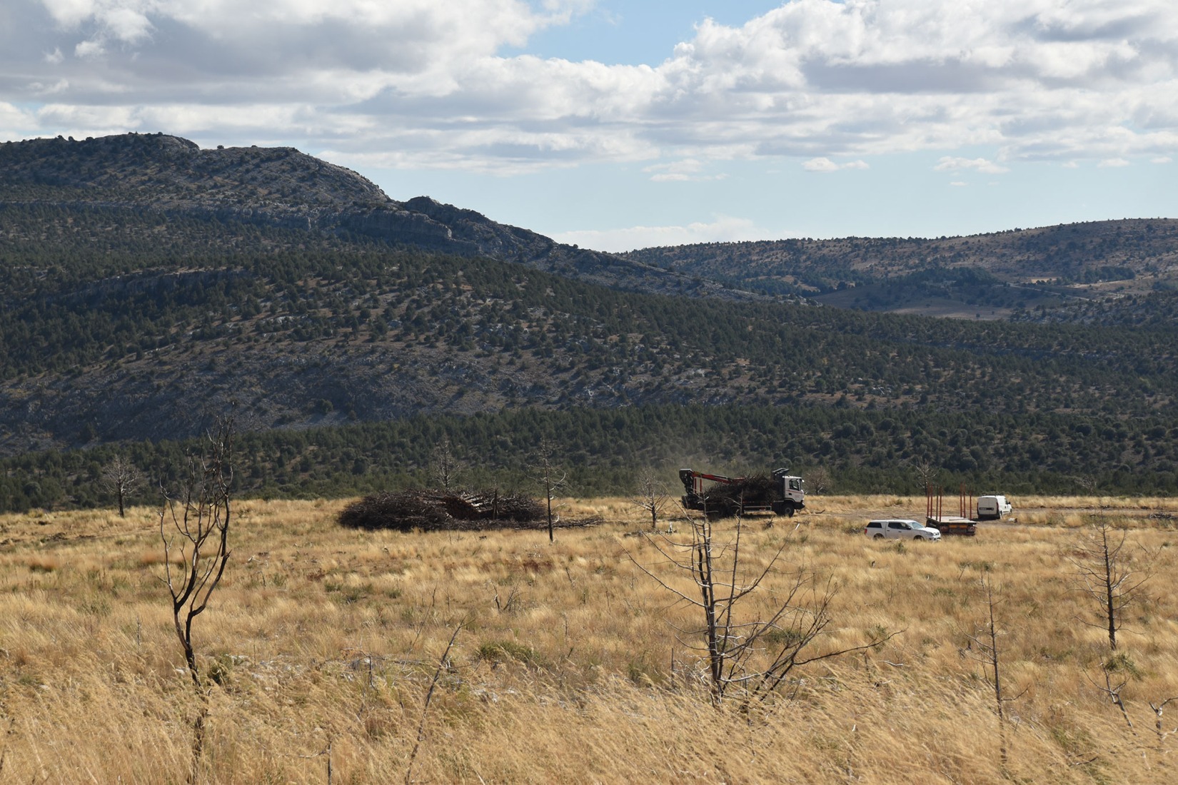 Socarrado por Nomad Studio. Fotografía por Nomad Studio. 