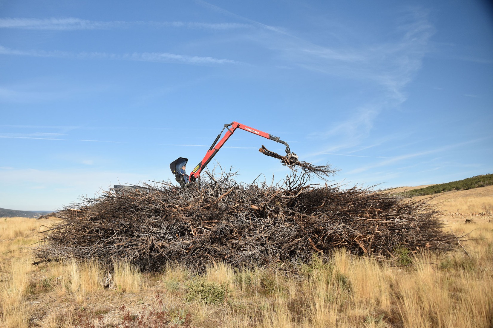 Socarrado por Nomad Studio. Fotografía por Nomad Studio. 