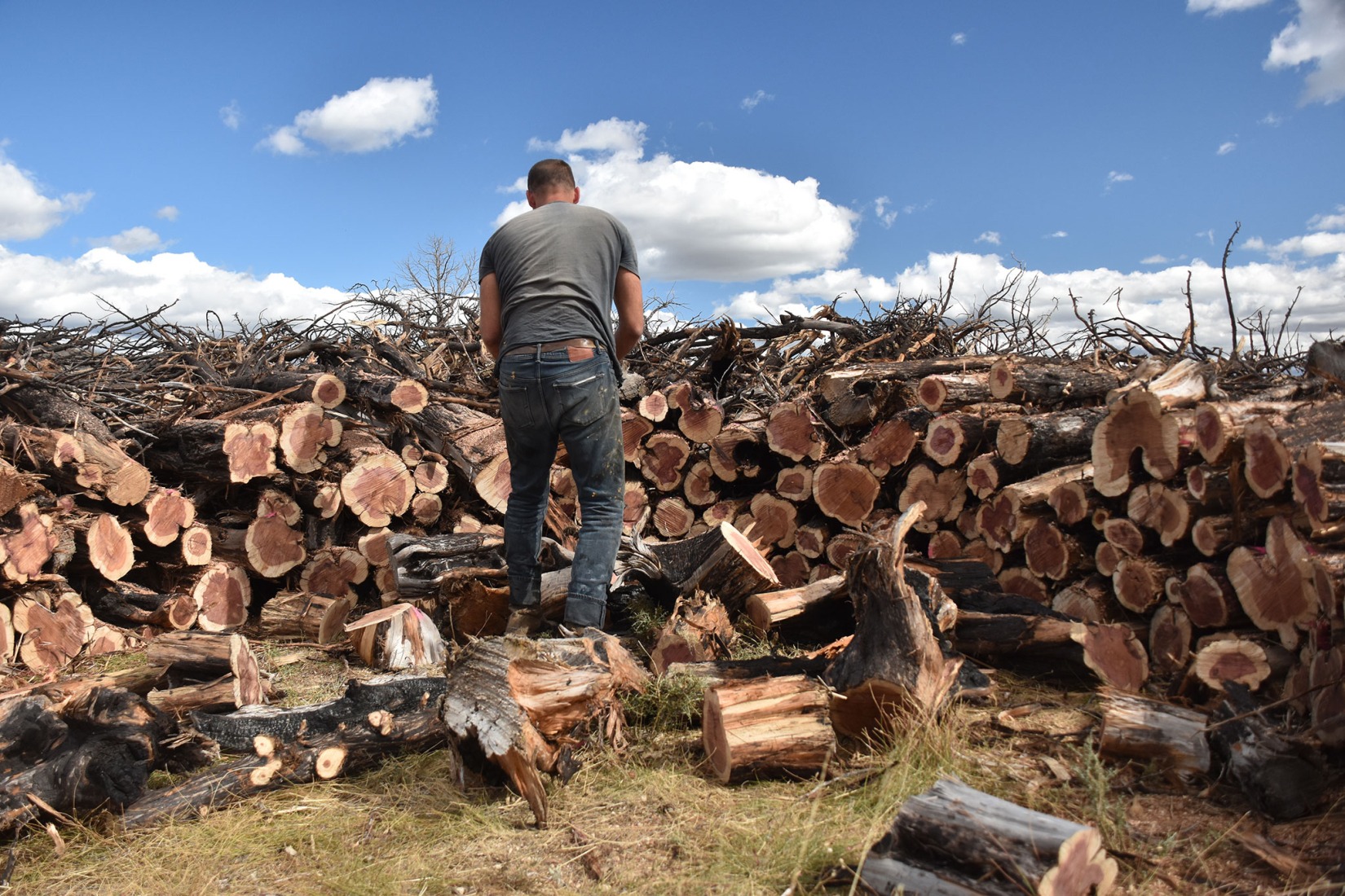 Socarrado por Nomad Studio. Fotografía por Nomad Studio. 