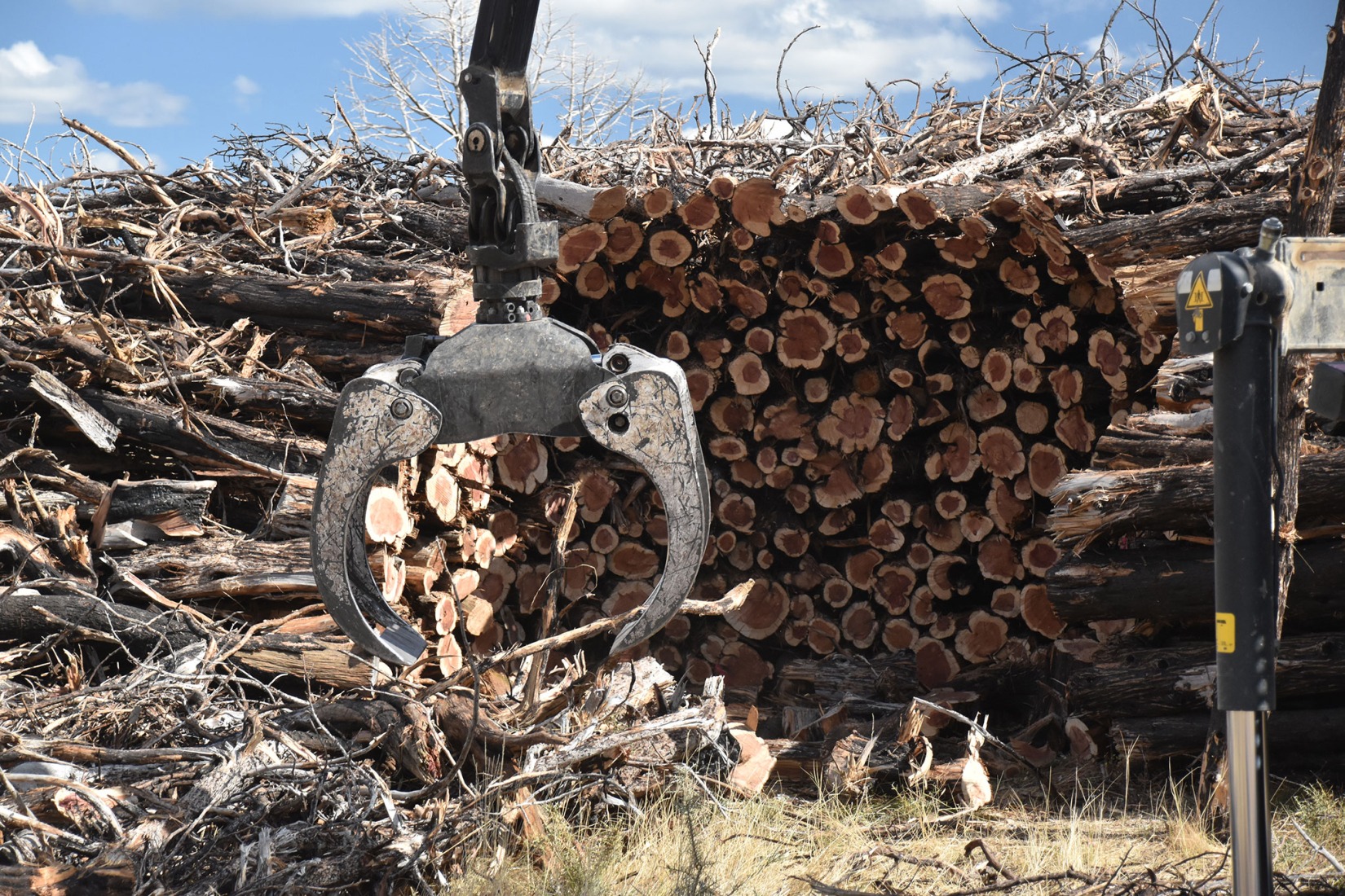 Socarrado por Nomad Studio. Fotografía por Nomad Studio. 