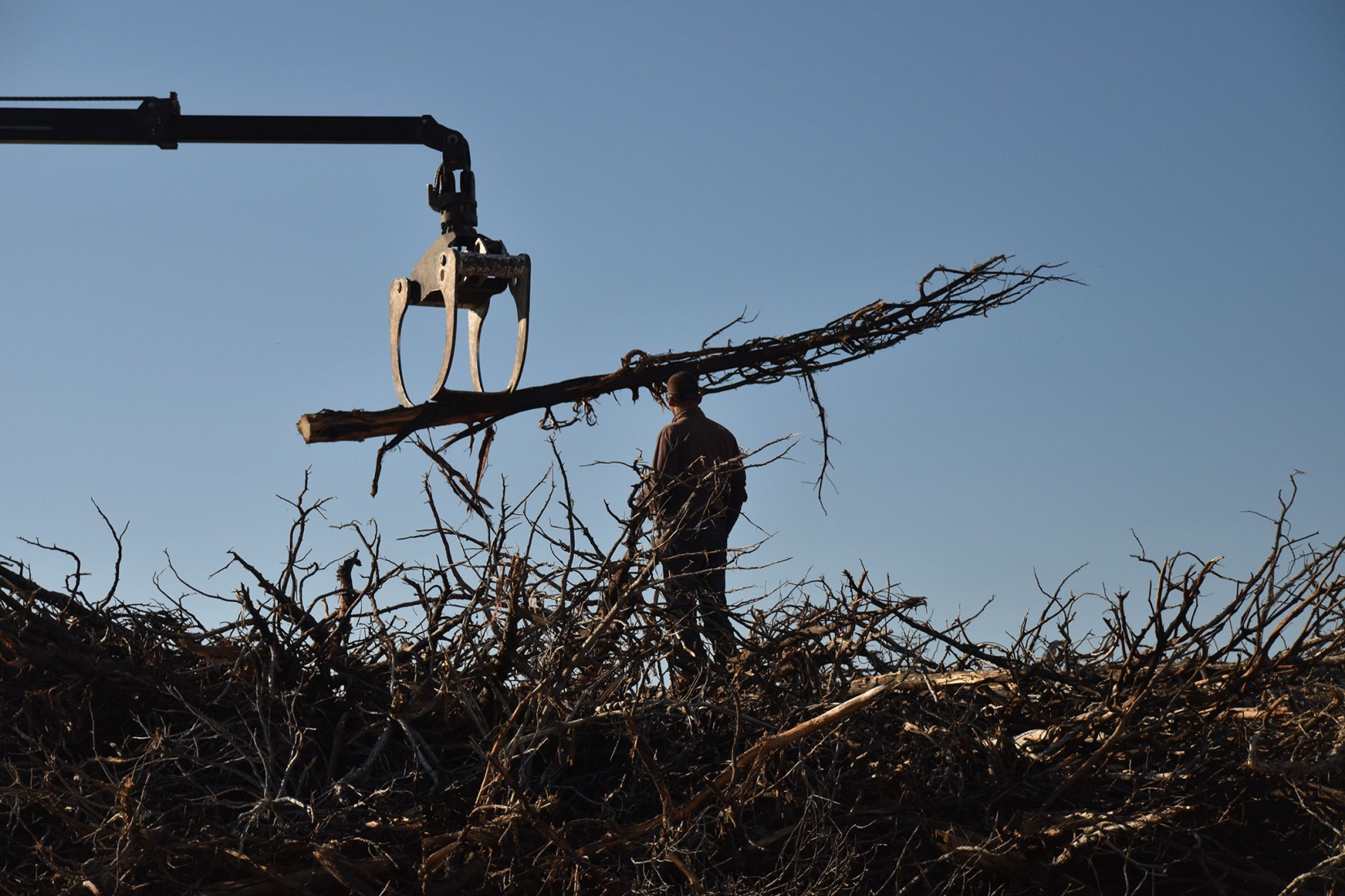 Socarrado por Nomad Studio. Fotografía por Nomad Studio. 