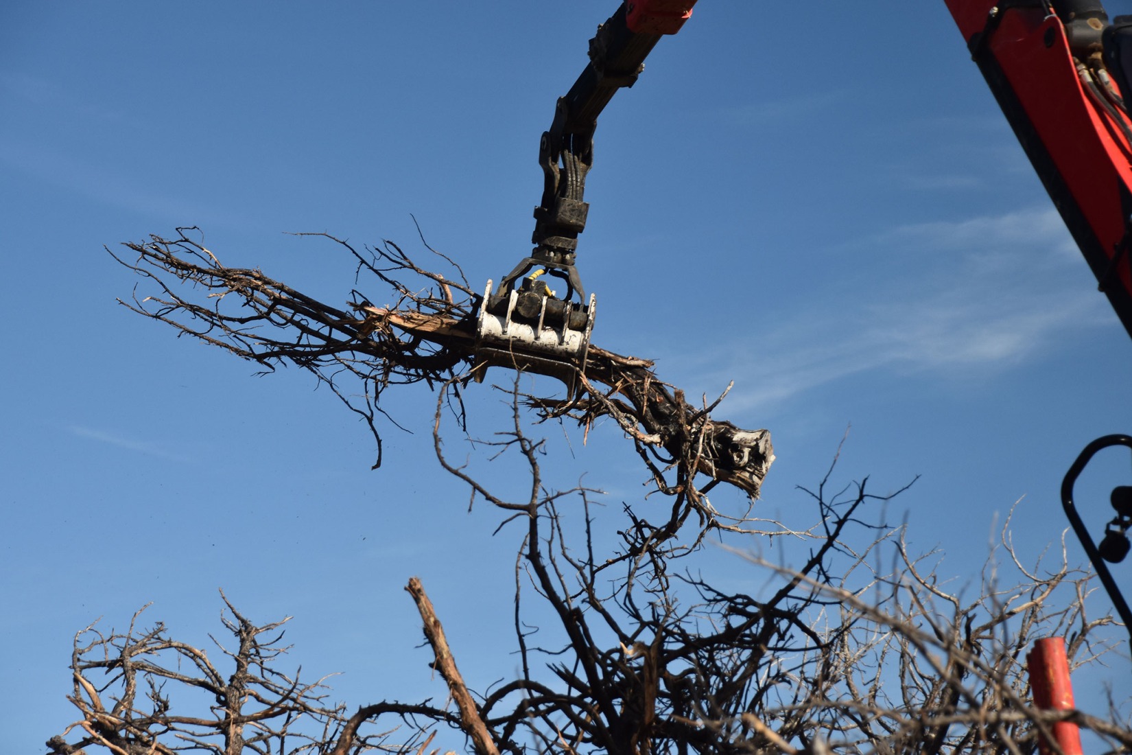 Socarrado por Nomad Studio. Fotografía por Nomad Studio. 