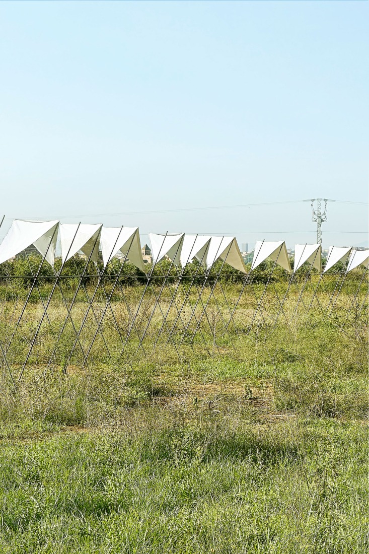 Pabellón 100 metros lineales por Pablo Paradinas Sastre y Eletres Studio. Fotografía por Pablo Paradinas Sastre y Eletres Studio. 