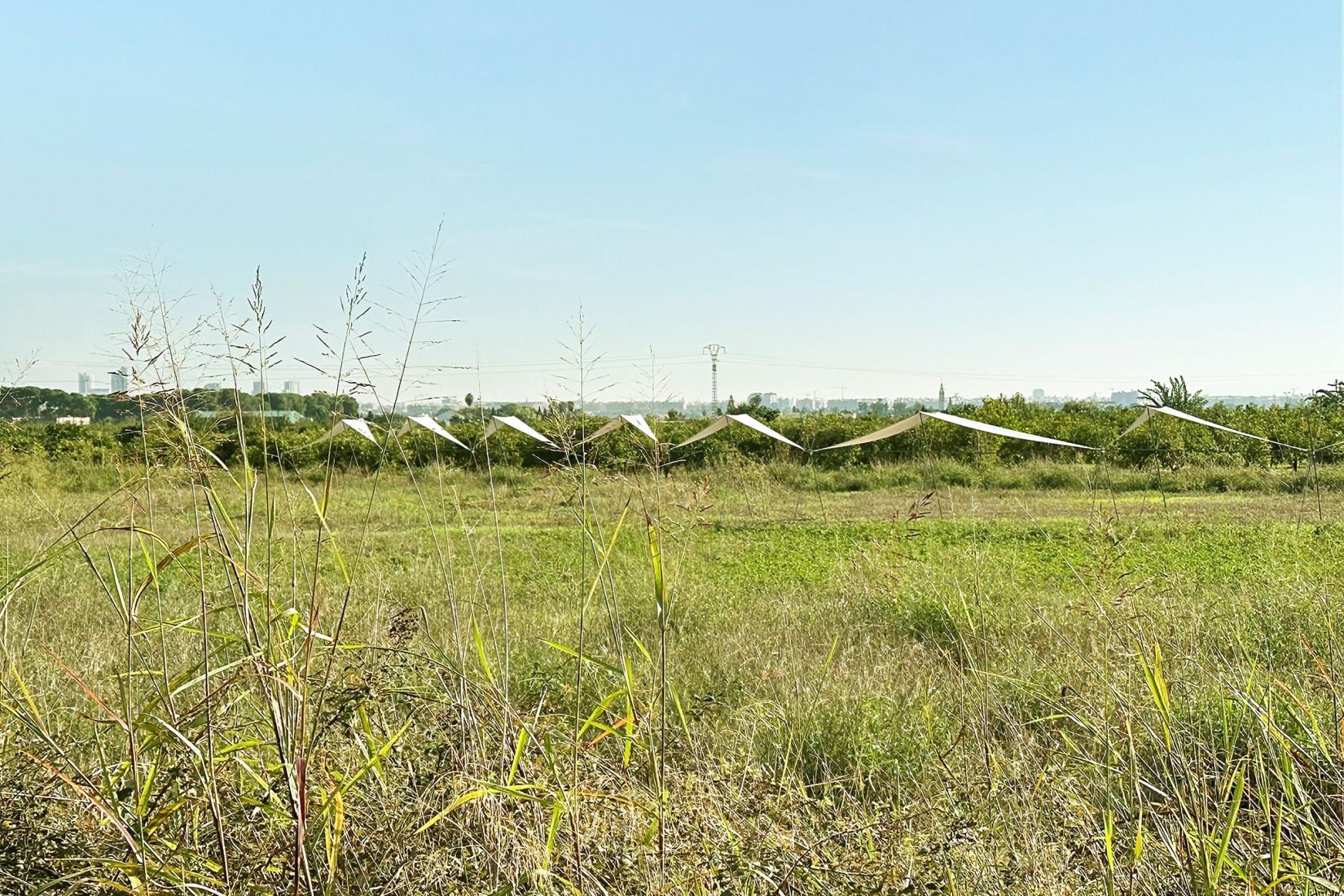 Pabellón 100 metros lineales por Pablo Paradinas Sastre y Eletres Studio. Fotografía por Pablo Paradinas Sastre y Eletres Studio. 