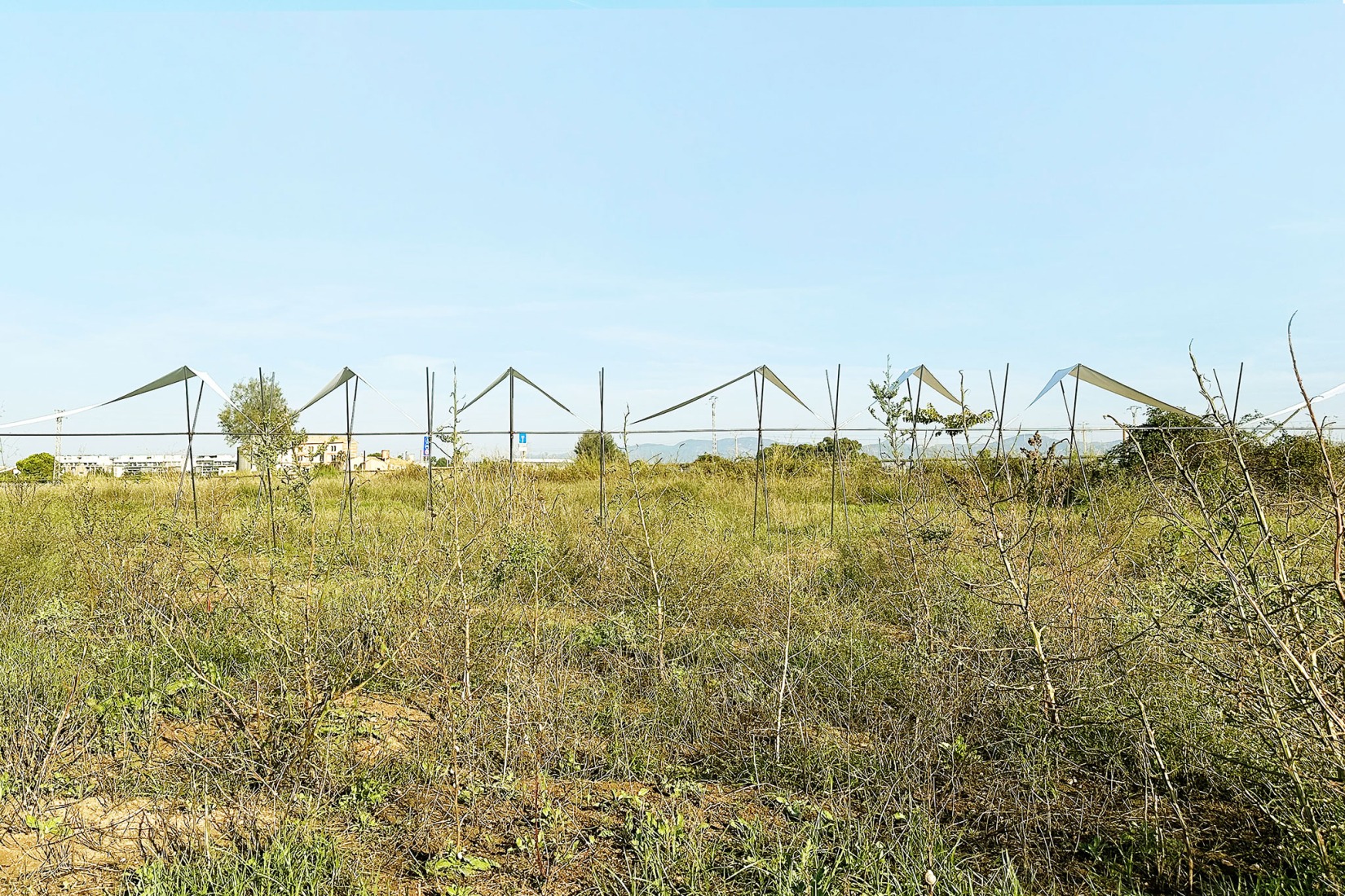 Pabellón 100 metros lineales por Pablo Paradinas Sastre y Eletres Studio. Fotografía por Gian franco Pili.