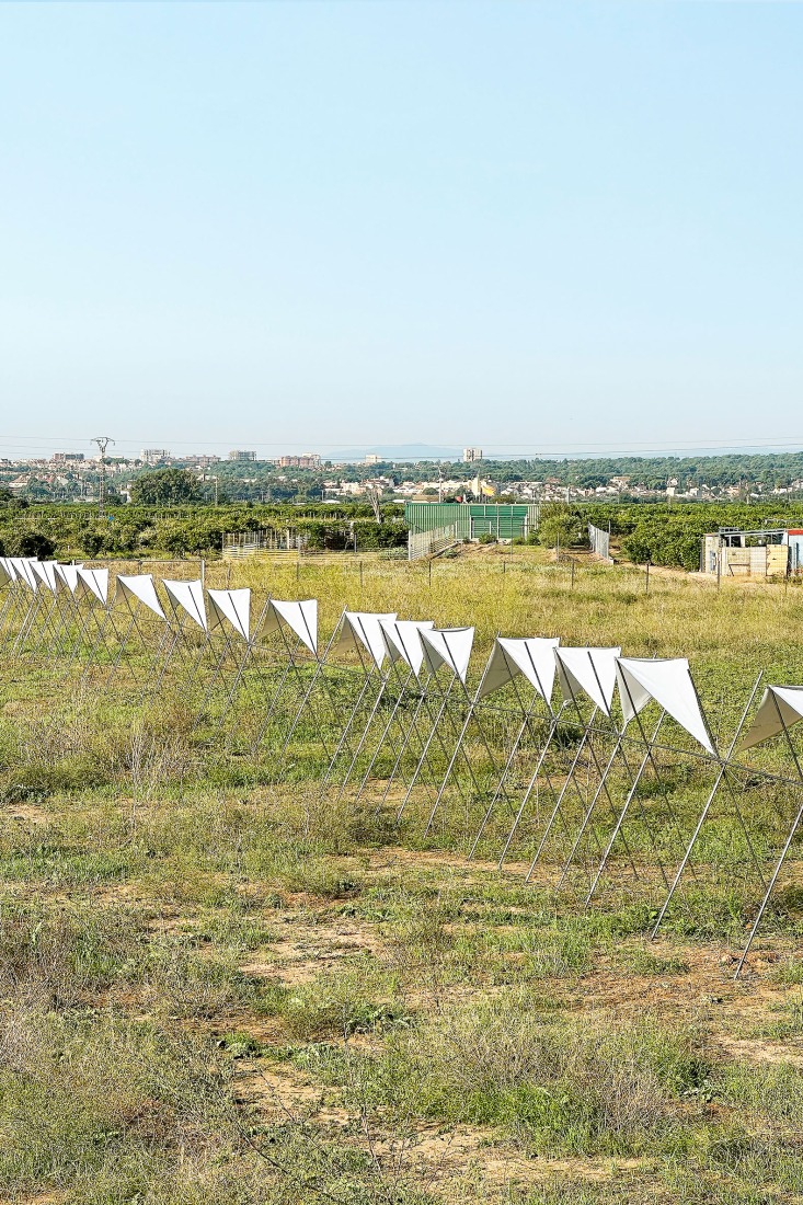 Pabellón 100 metros lineales por Pablo Paradinas Sastre y Eletres Studio. Fotografía por Pablo Paradinas Sastre y Eletres Studio. 