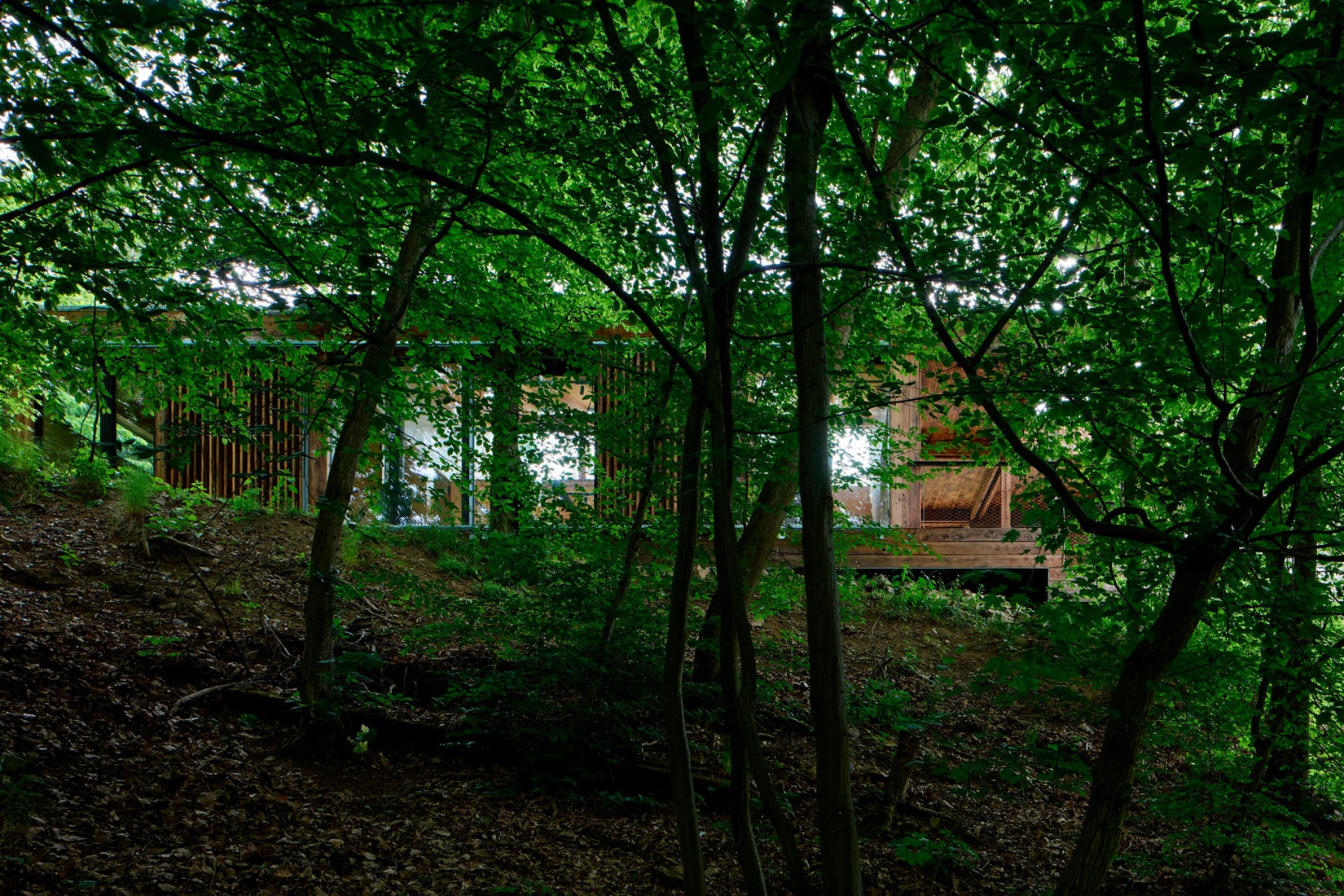 Casa Medník por Päivä architekti. Fotografía por Radek Úlehla.use» por Päivä architekti. Fotografía por Radek Úlehla.