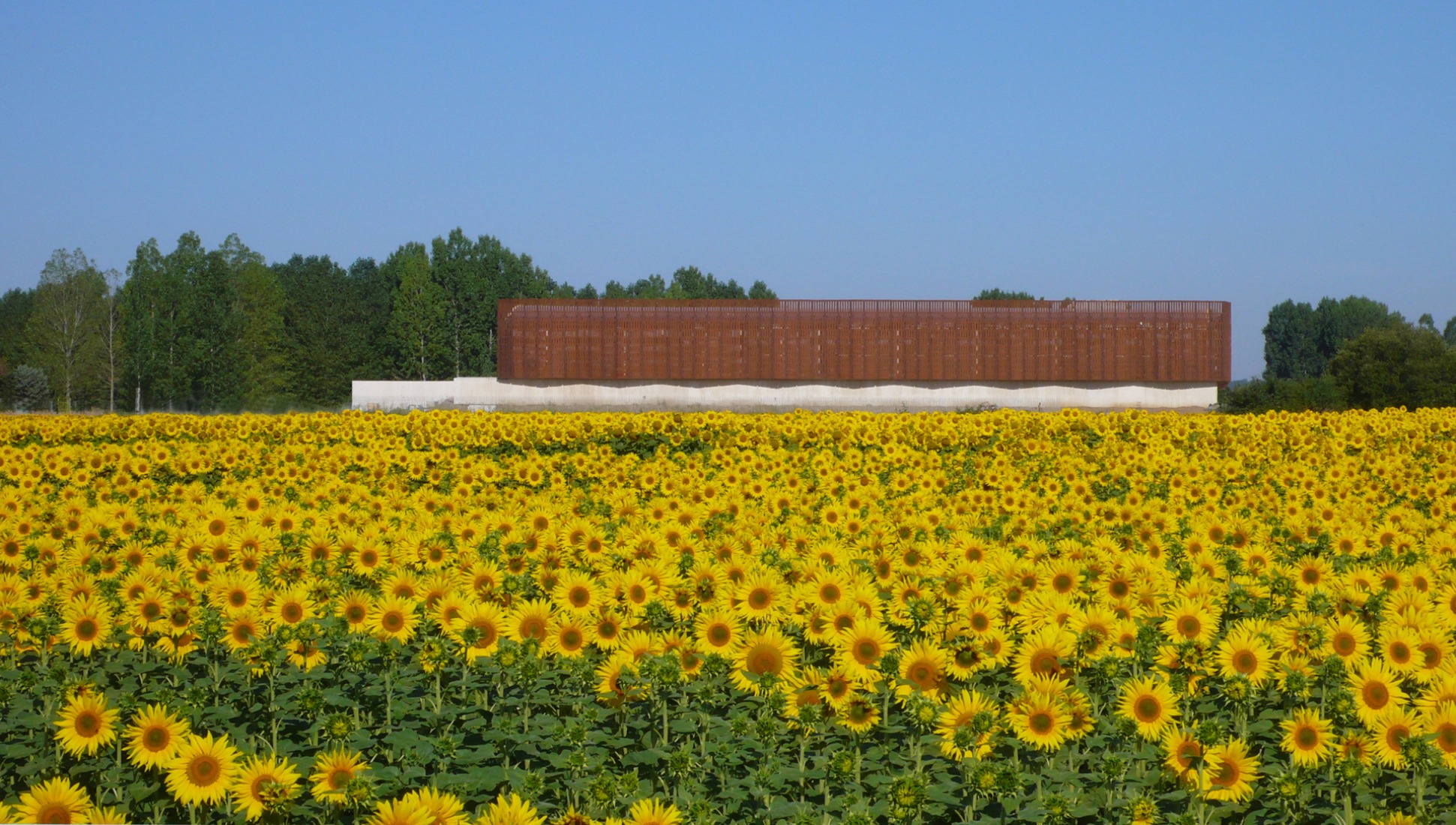 La Olmeda Roman Villa by Paredes Pedrosa Architects. Photograph by Paredes Pedrosa Architects.