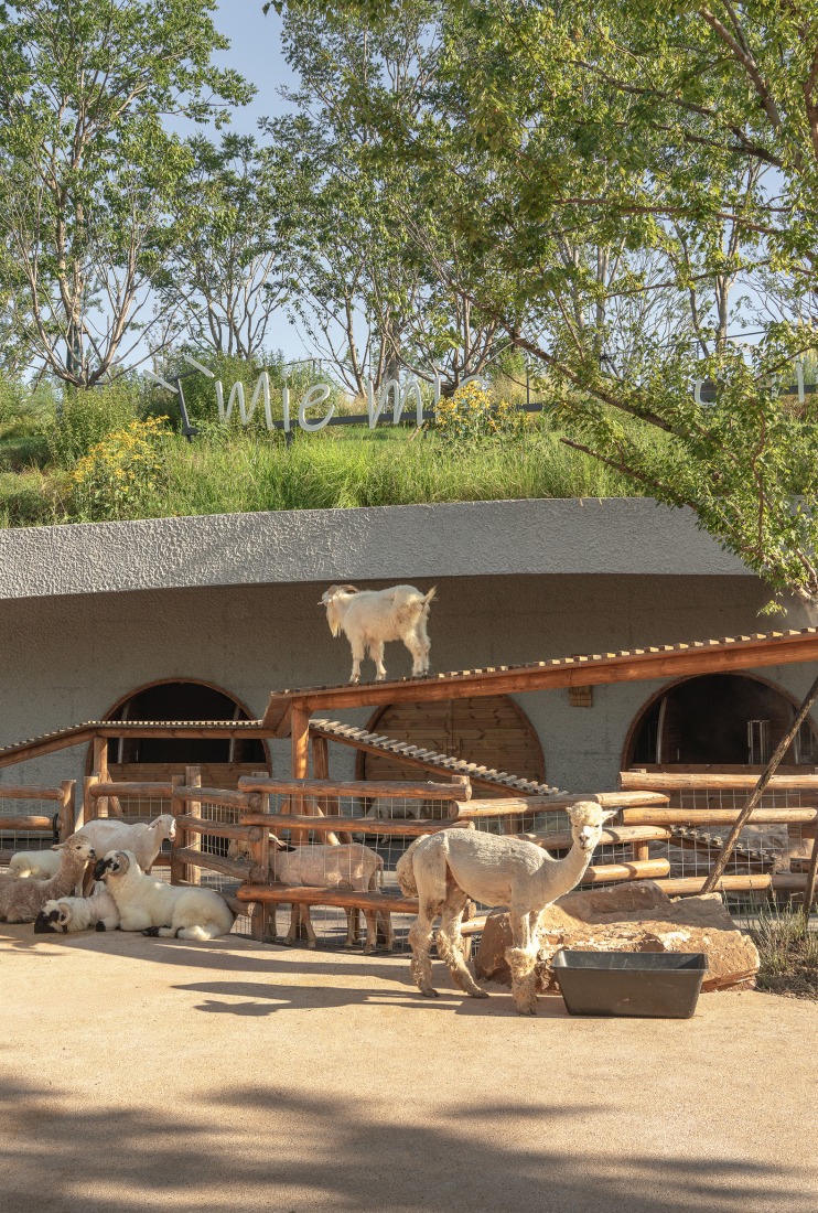 Granja LuxeIsland por Various Associates. Fotografía por SFAP.
