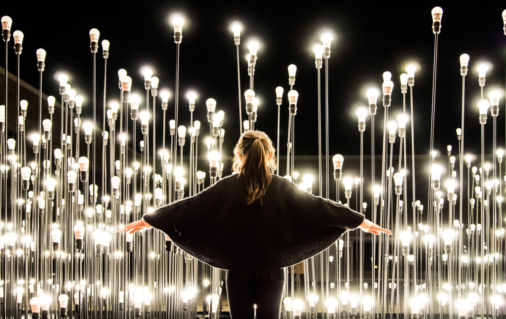 Fernando Guerra Fotografía.