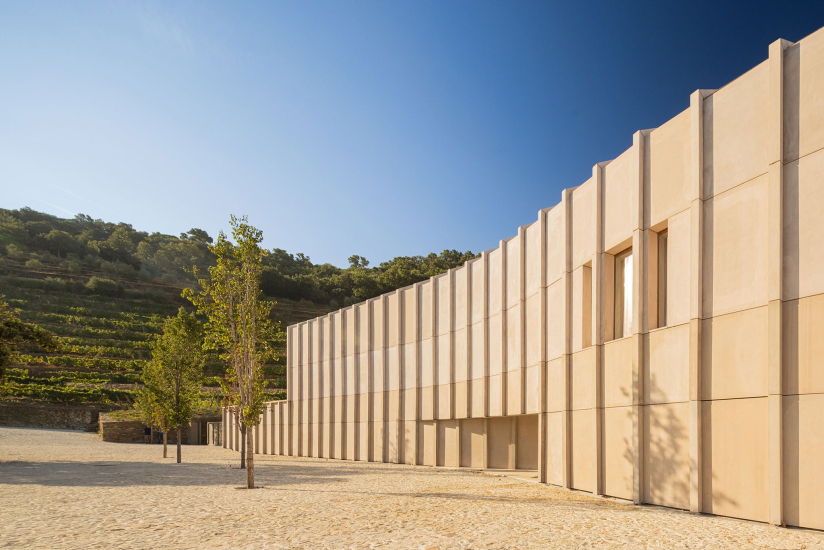 Wine Cellar of the Quinta de Adorigo by Atelier Sérgio Rebelo. Photograph by Fernando Guerra.