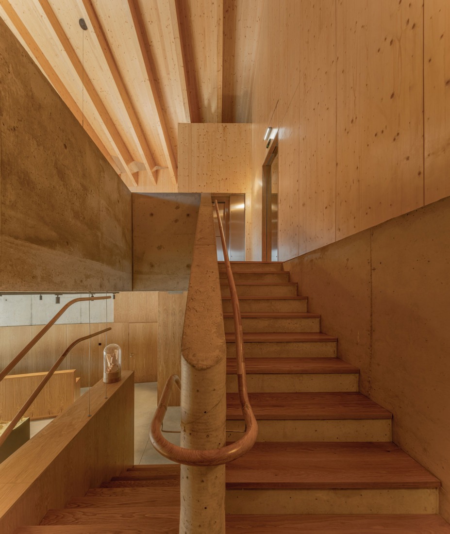 Wine Cellar of the Quinta de Adorigo by Atelier Sérgio Rebelo. Photograph by Fernando Guerra.