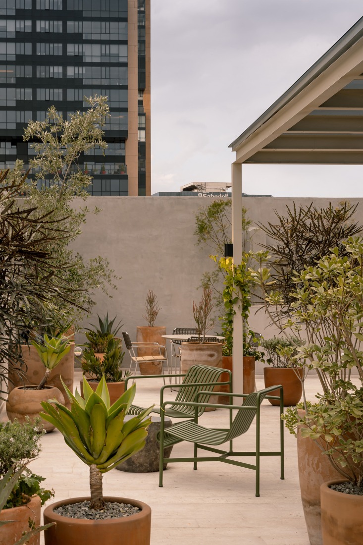 Edgar Allan Poe by De Rungs Arquitectos + Firmaa. Photograph by Ariadna Polo. 